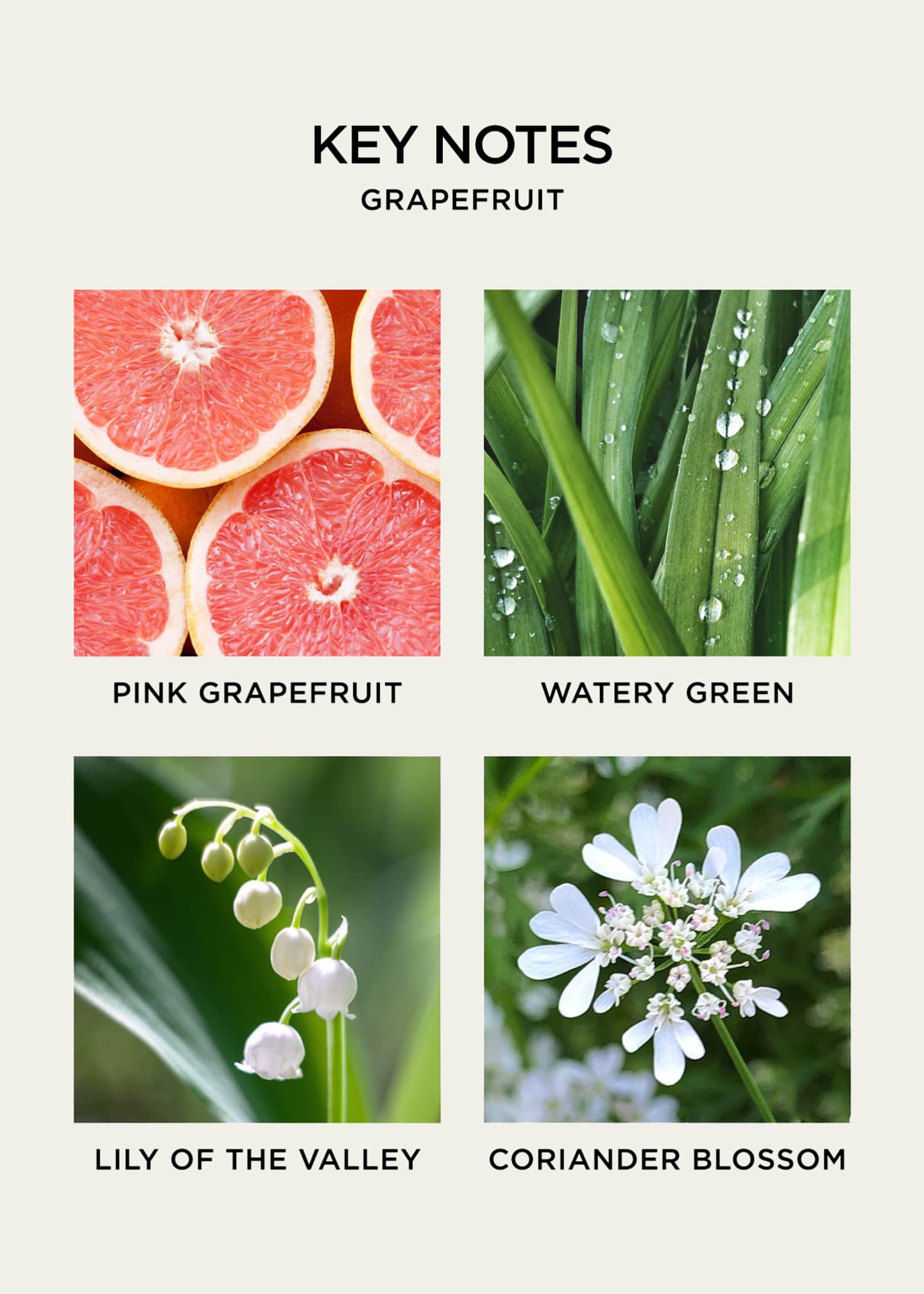 NEST New York Grapefruit Wall Diffuser Refill Duo Image 5 of 5