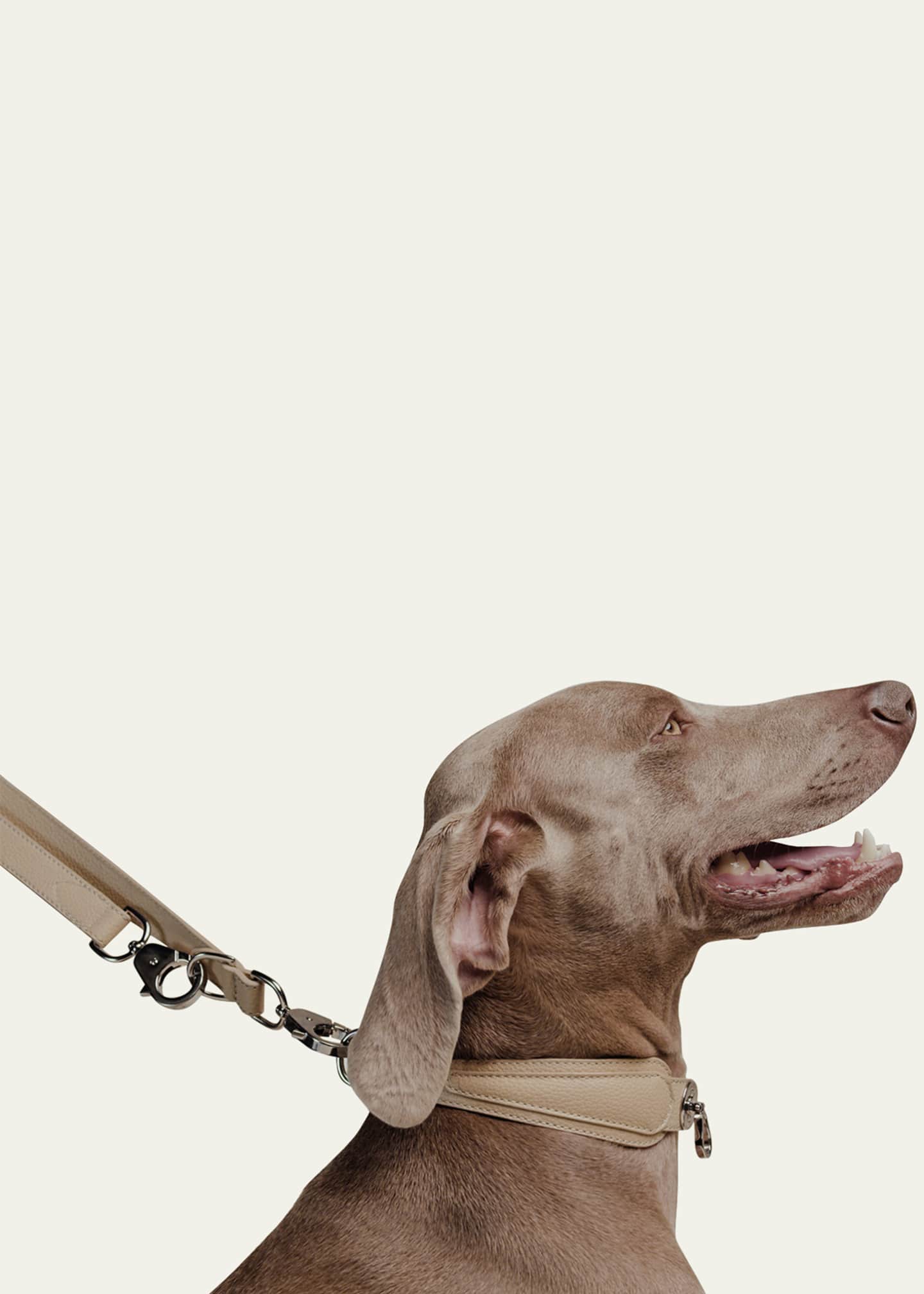 PAGERIE The Tascher Leash - Bergdorf Goodman