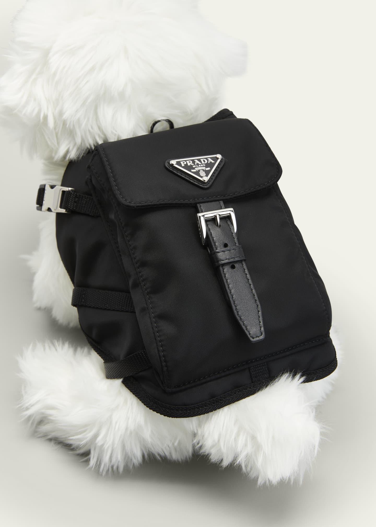 Prada dog bag clearance