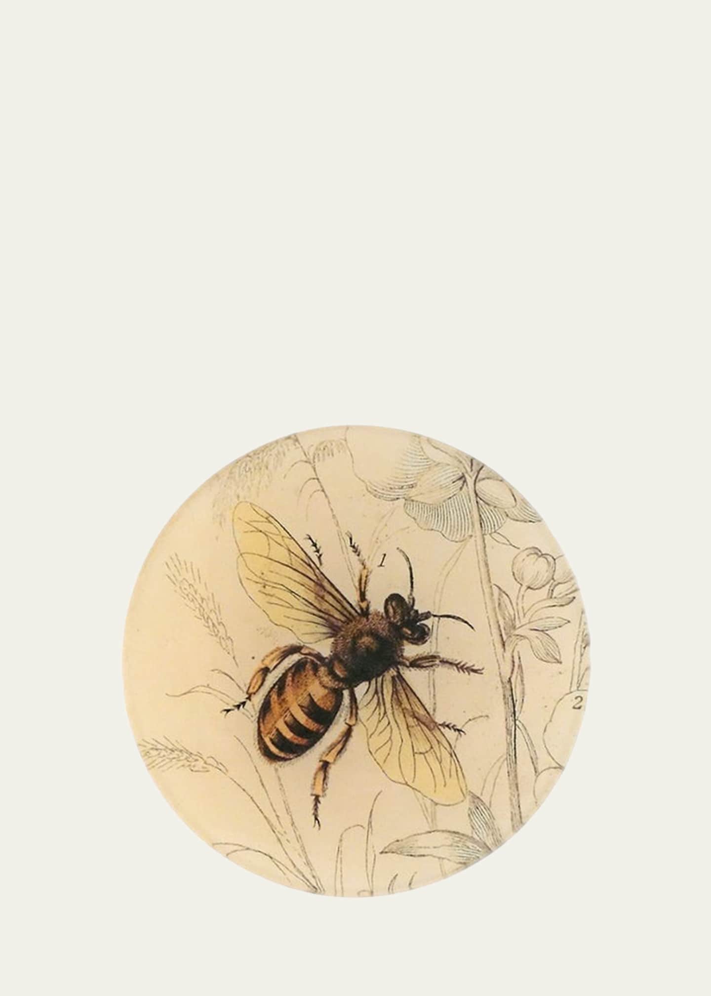 John Derian Honey Bee 5.8" Decorative Plate