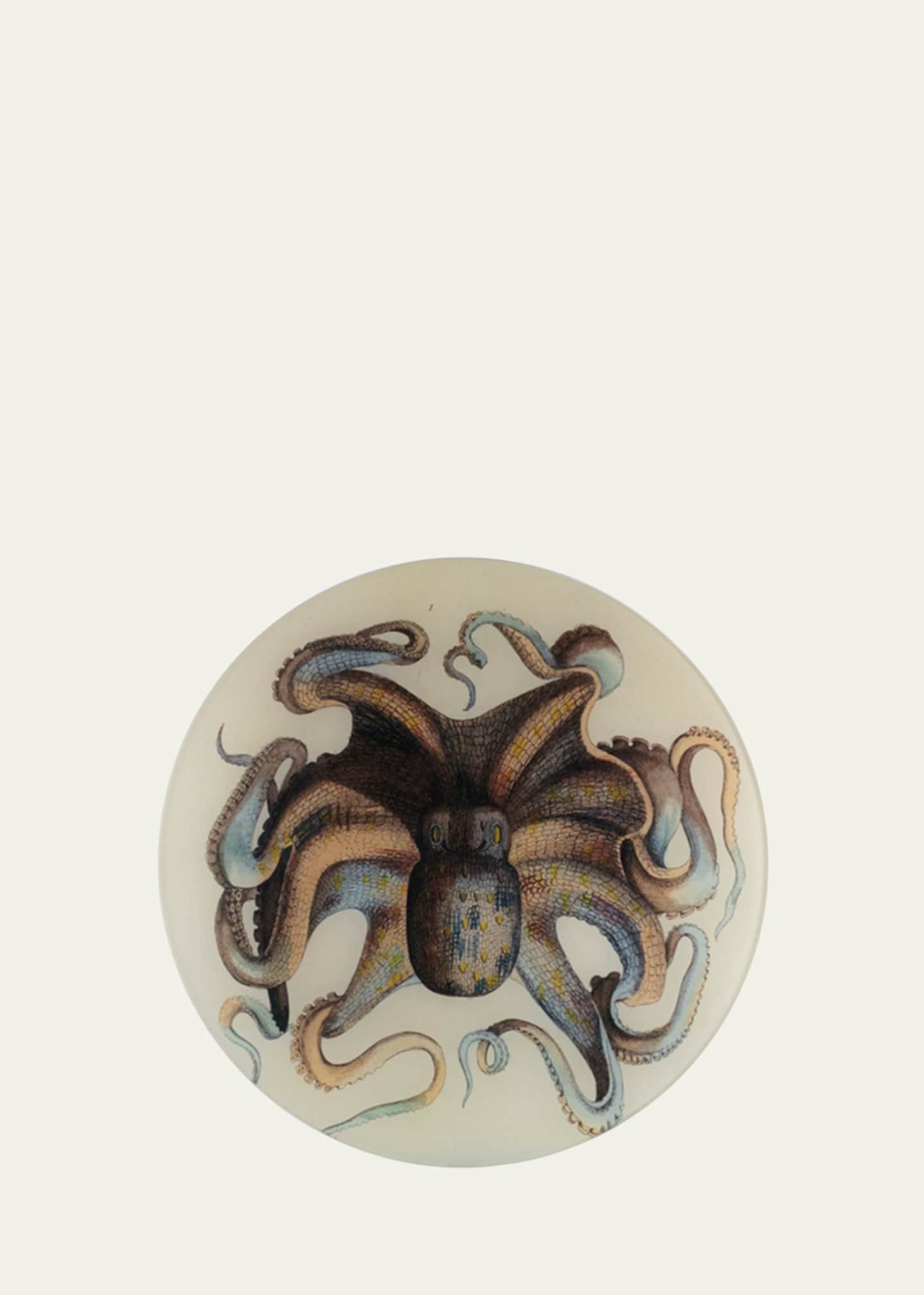 John Derian Octopus Round Dish, 11"