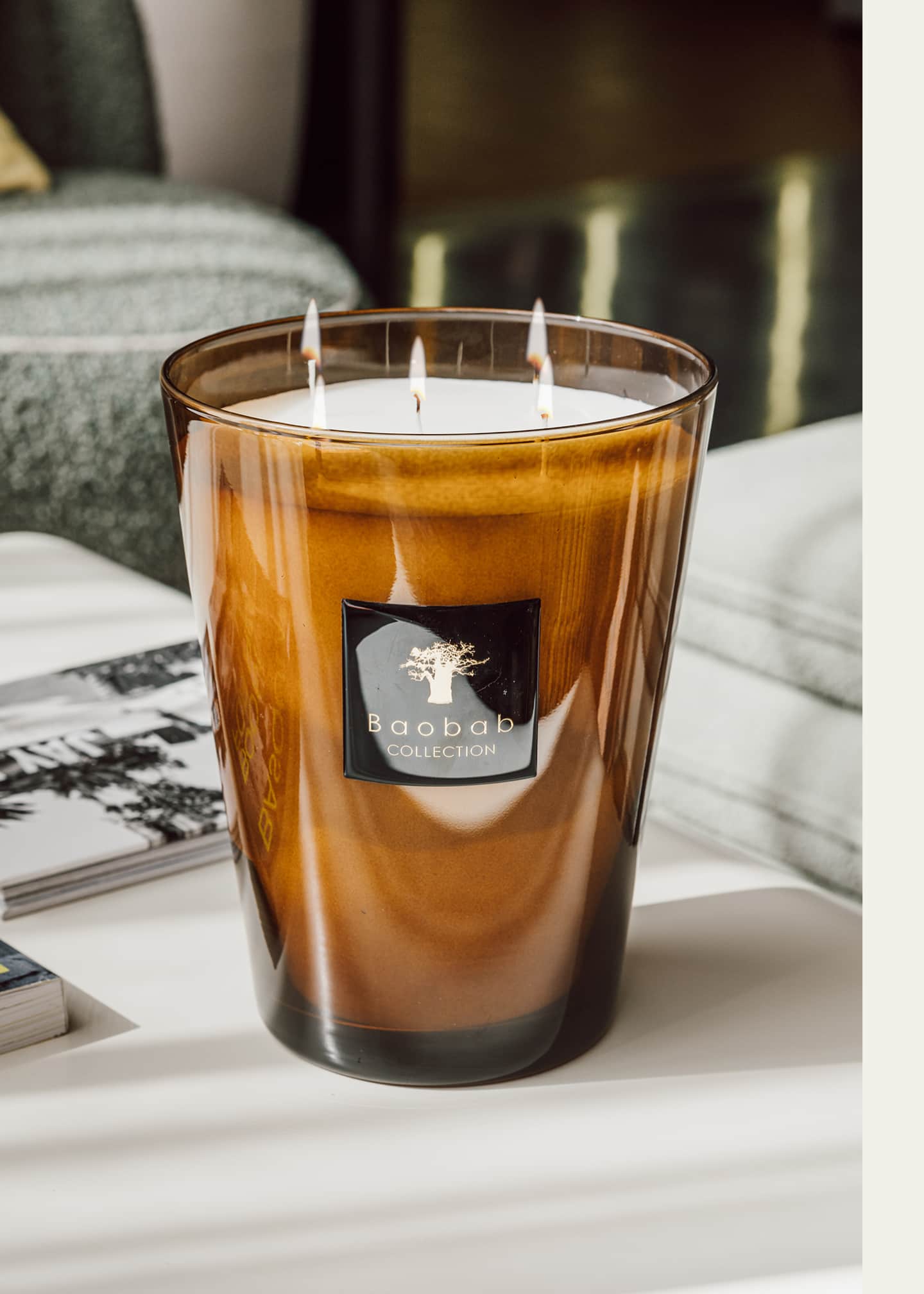 Baobab Collection Max 24 Les Prestigieuses Cuir de Russie Scented Candle Image 3 of 5