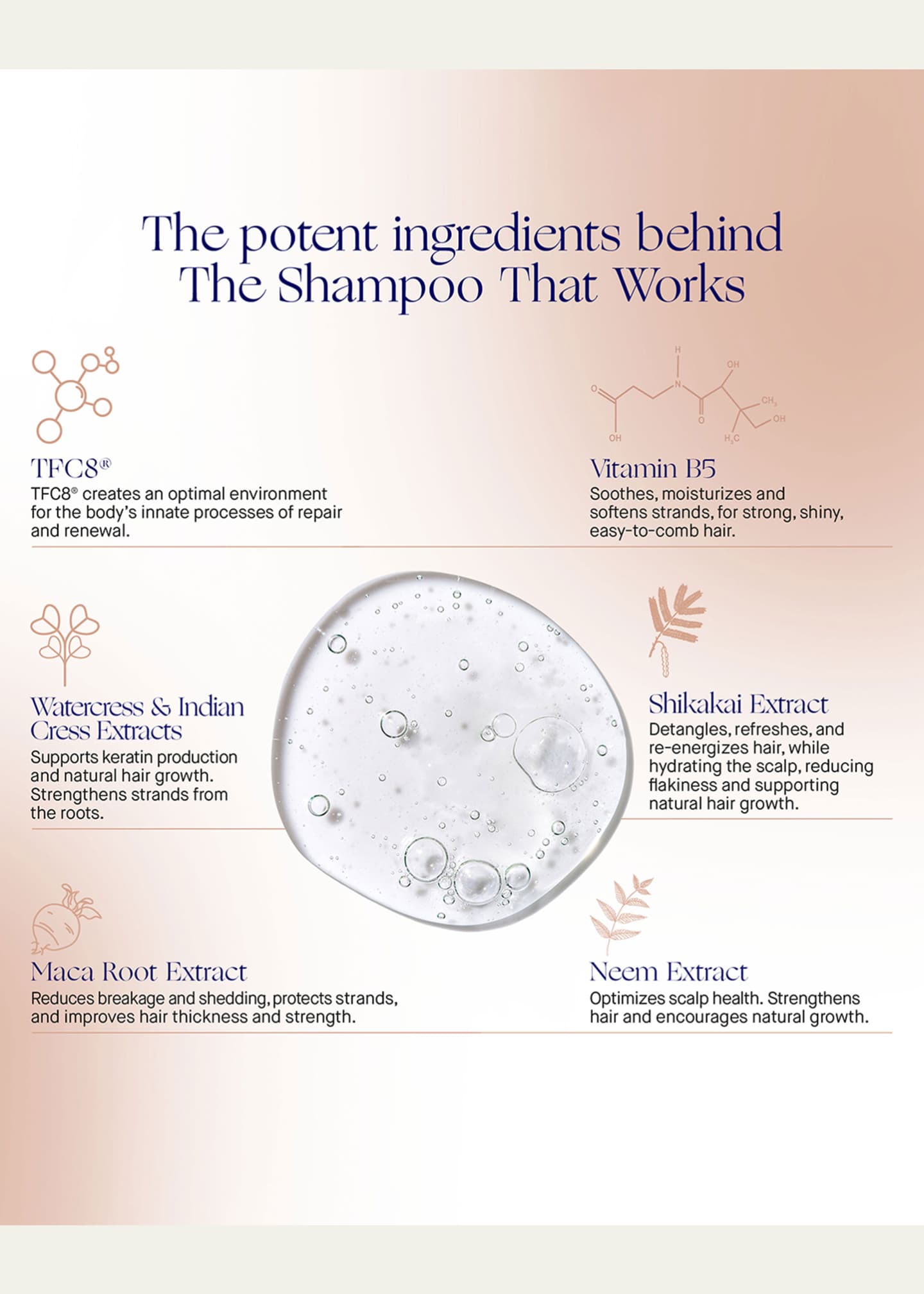 Augustinus Bader The Shampoo Image 3 of 3