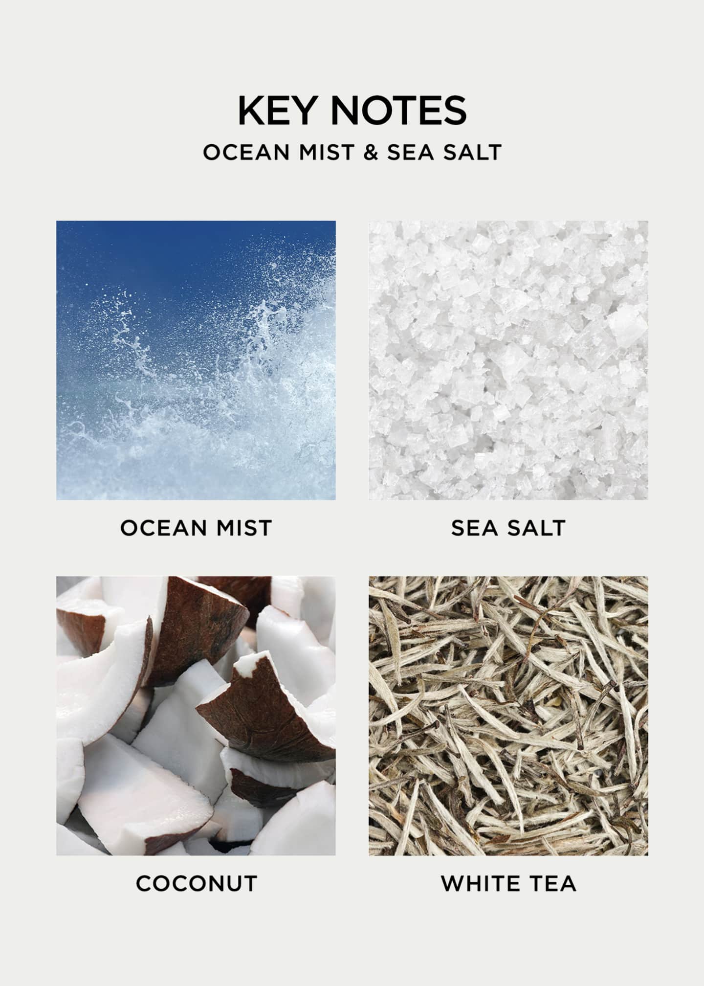 NEST New York Ocean Mist And Sea Salt Wall Diffuser Refill Image 5 of 5