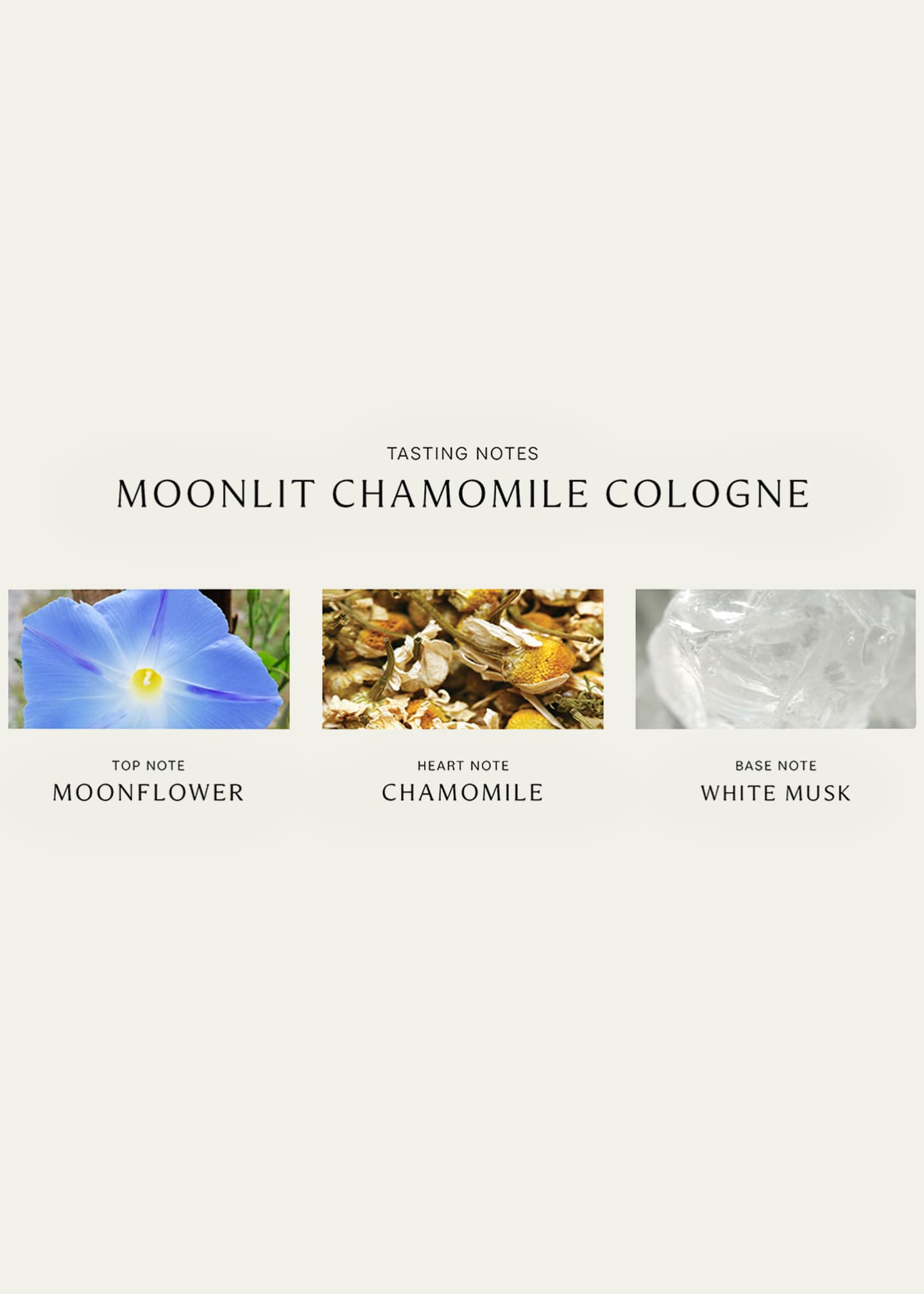 Jo Malone London Moonlit Camomile Cologne, 3.4 oz. Image 3 of 5
