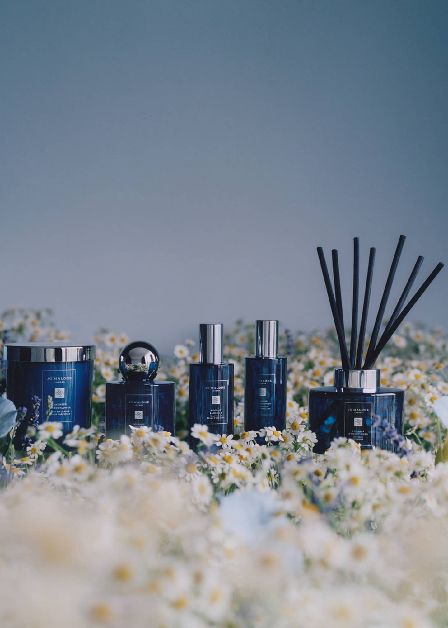 Jo Malone London Moonlit Camomile Cologne, 3.4 oz. Image 4 of 5
