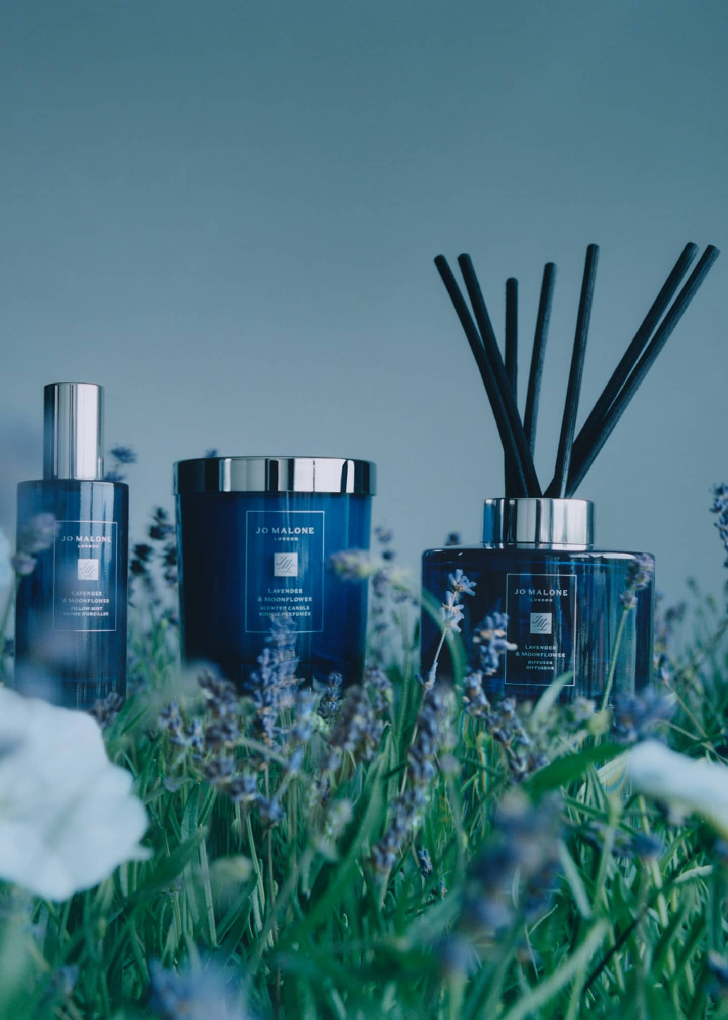 Jo malone lavender best sale