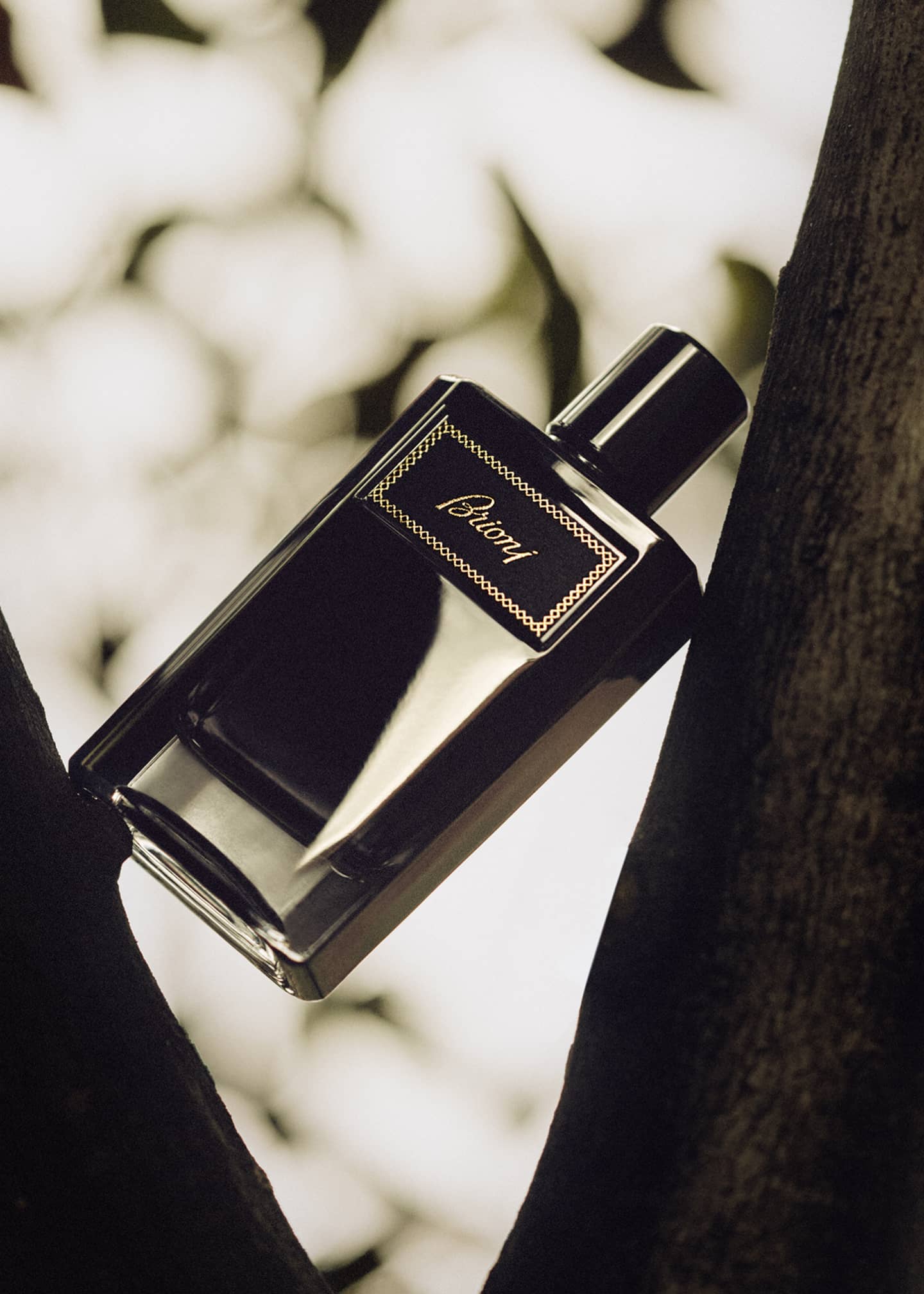 Brioni Brioni Eau de Parfum Intense, 3.4 oz. Image 4 of 5