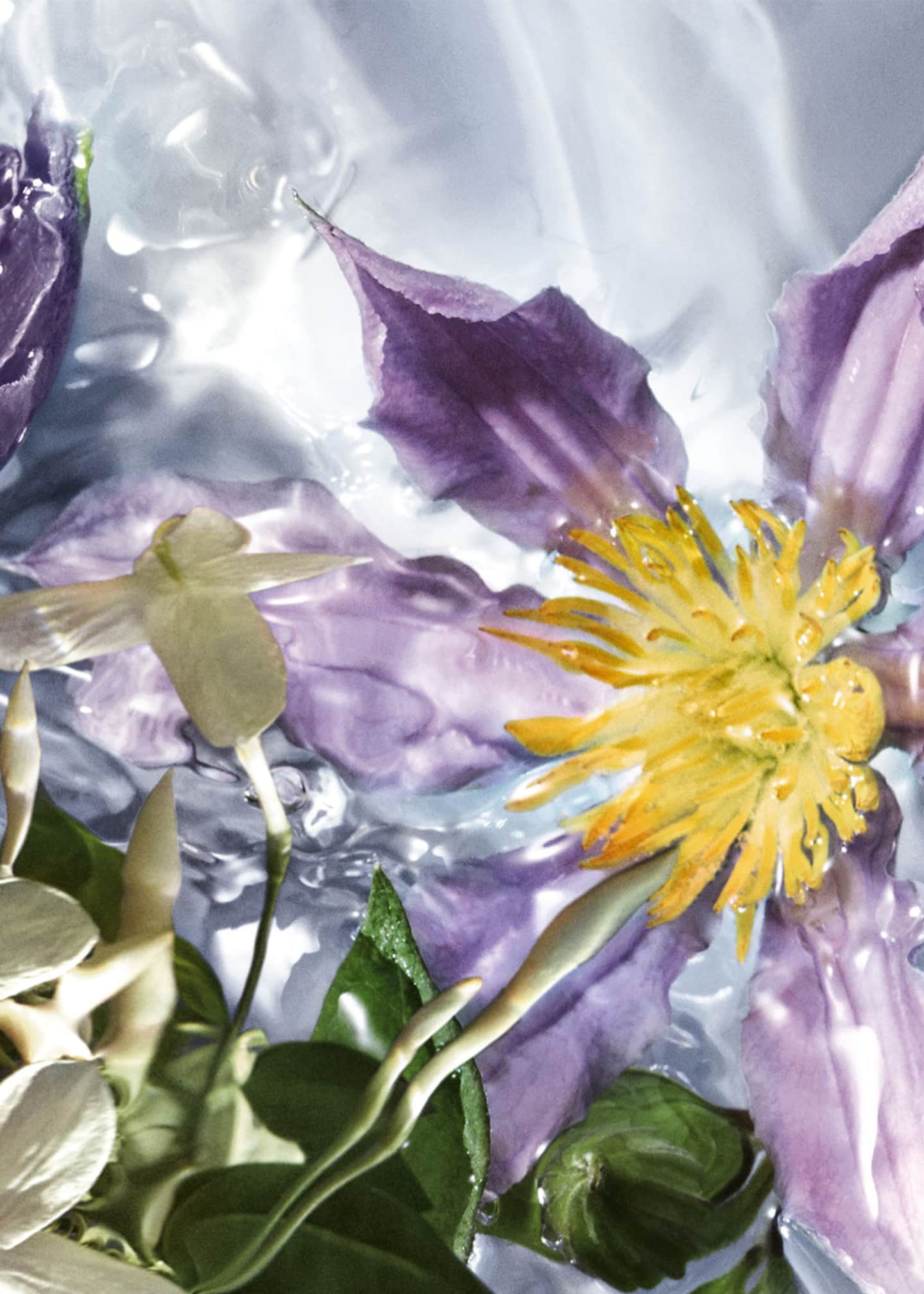 Guerlain Aqua Allegoria Flora Salvaggia Wildflower Eau de Toilette, 2.5 oz. Image 2 of 5
