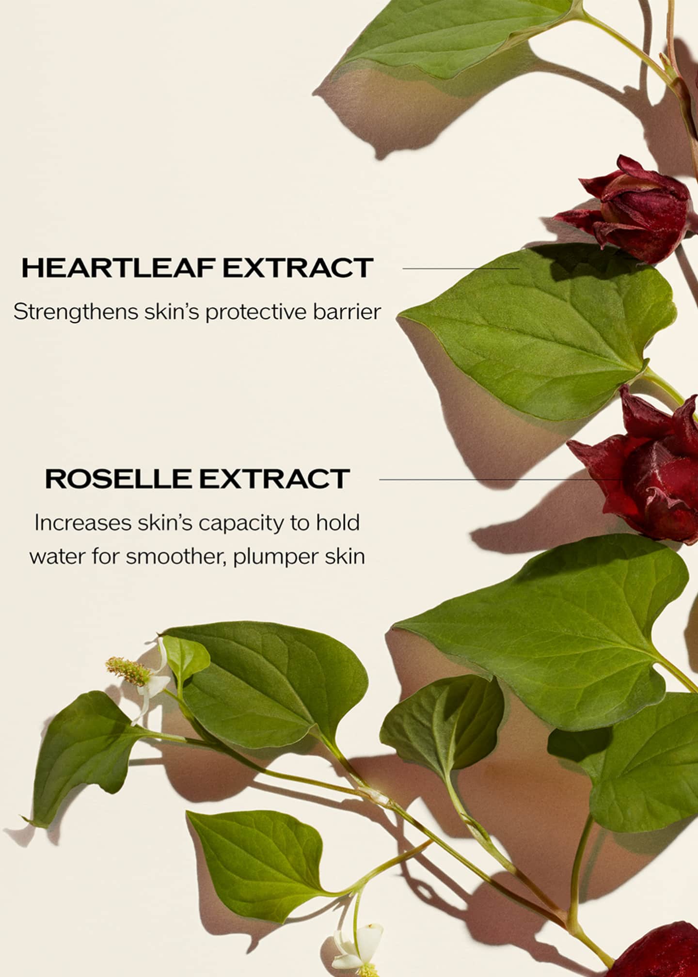 Shiseido Limited Edition Ultimune Power Infusing Concentrate, 2.5 oz. Image 3 of 5