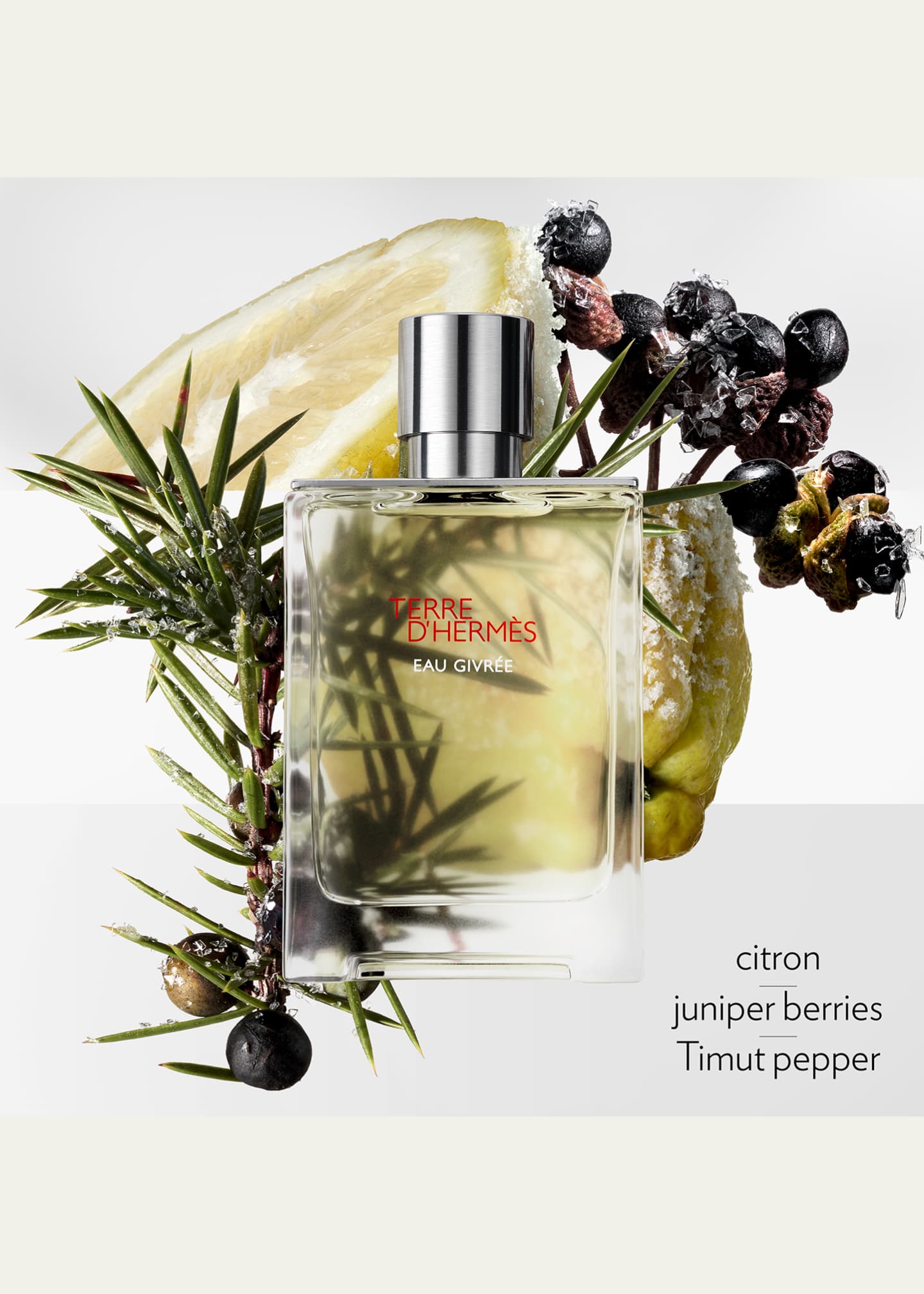 Amazon.com : Hermes Terre d'Hermes Eau Givree for Men Eau de