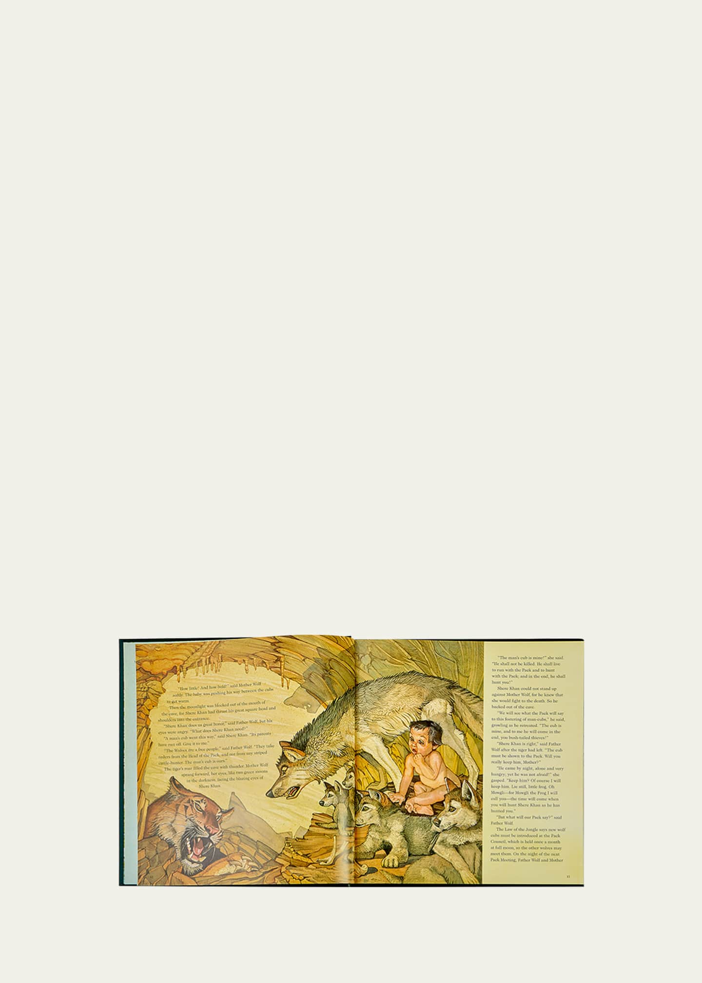 Graphic Image The Jungle Book Children's Books Image 3 of 4