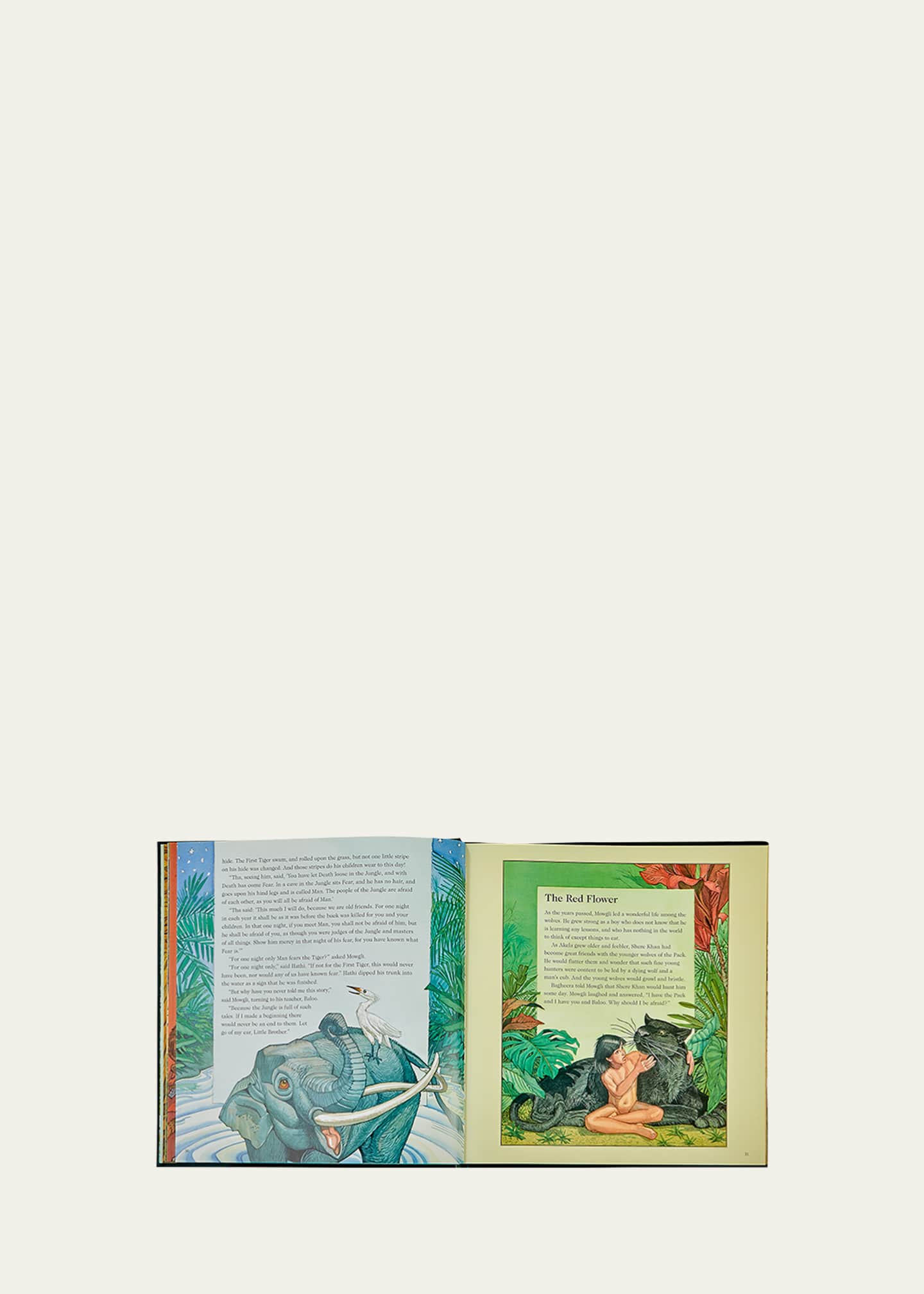 Graphic Image The Jungle Book Children's Books Image 4 of 4