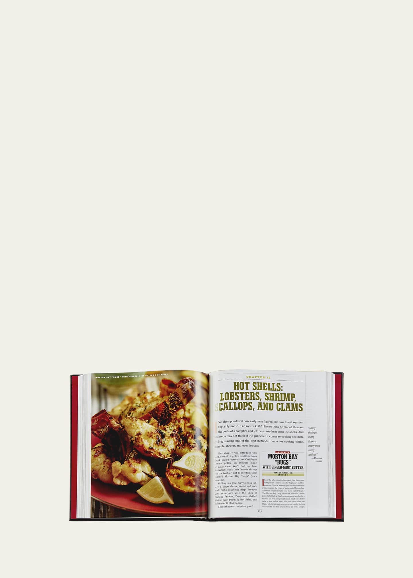 Graphic Image "The Barbecue Bible" Leather Bound Book Image 5 of 6
