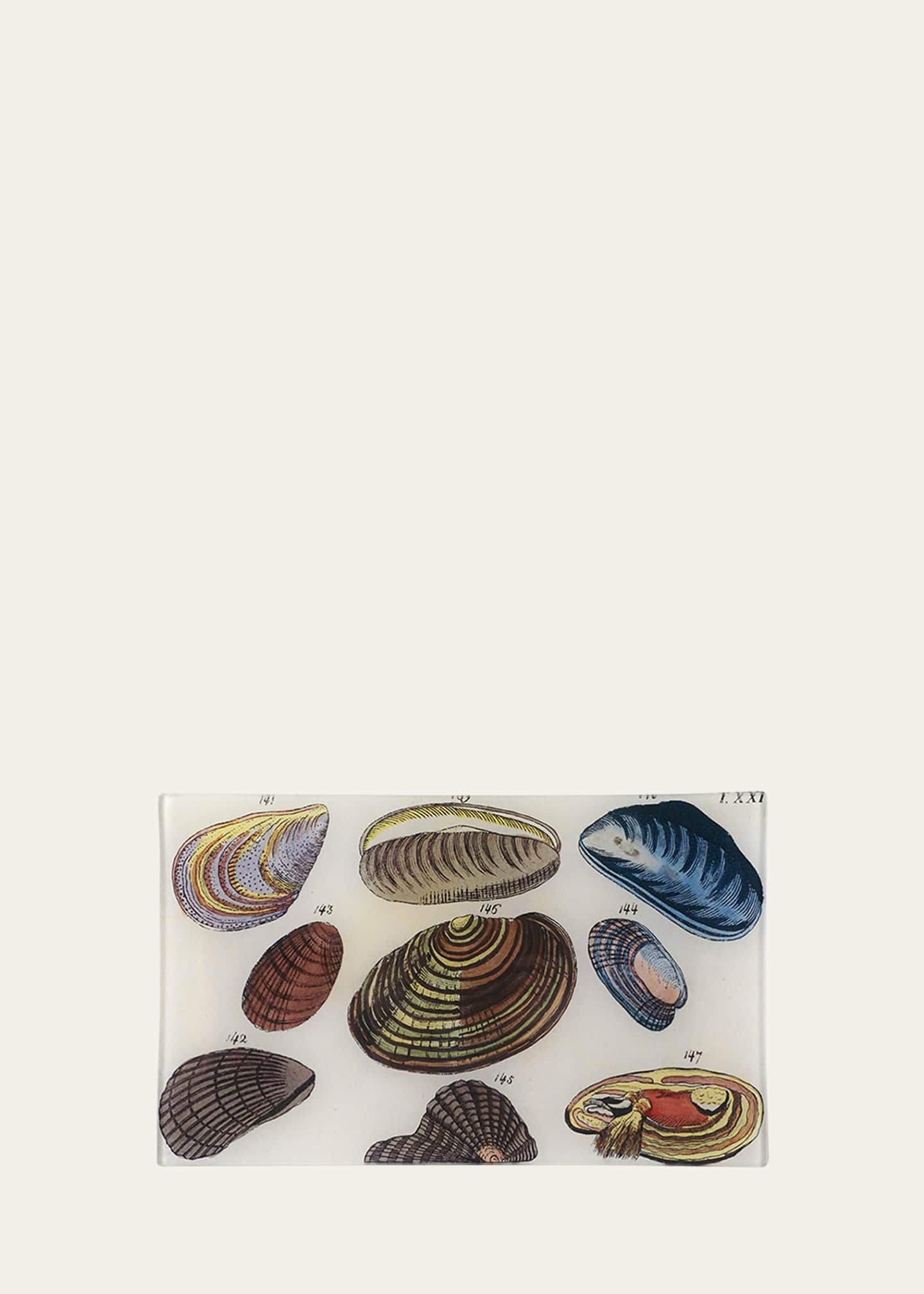 John Derian Clams Rectangular Tray Image 1 of 2