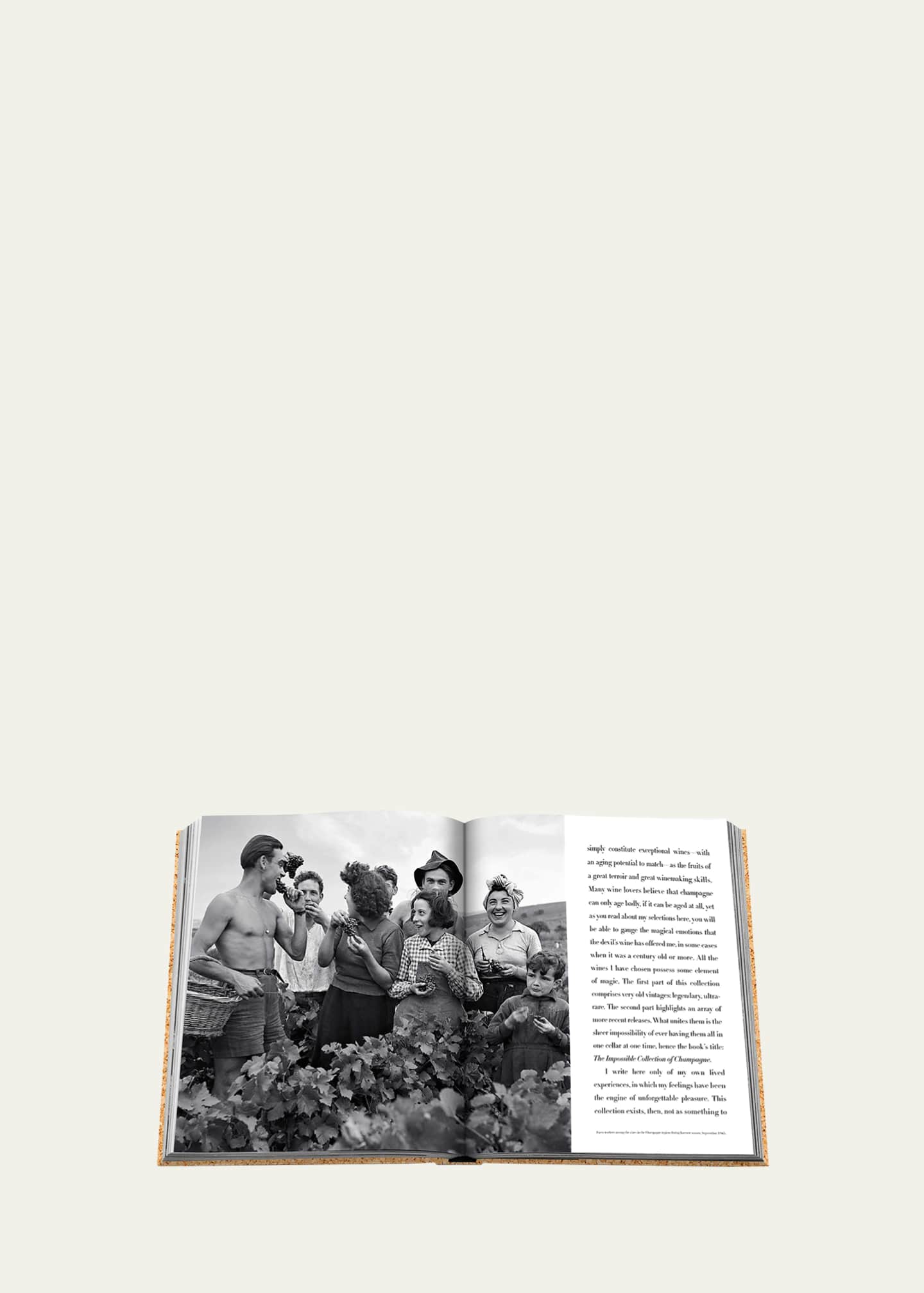 Assouline "The Impossible Collection of Champagne: The 100 Most Exceptional Bottles from Champagne" Book by Enrico Bernardo Image 4 of 4