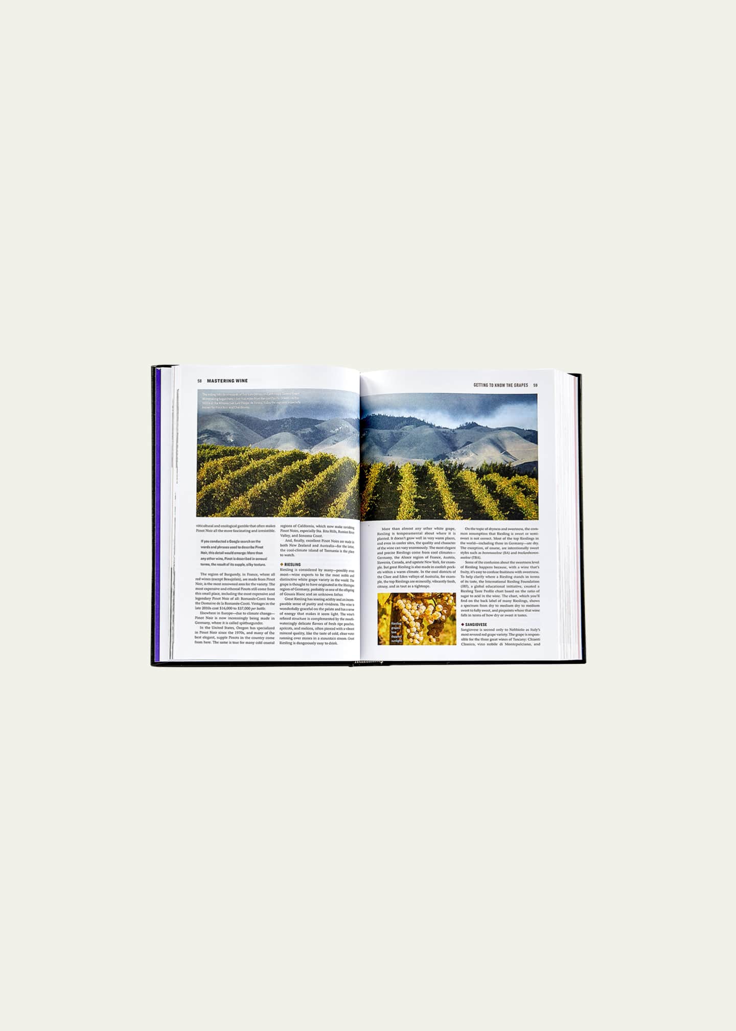 Graphic Image "The Wine Bible" Leather Bound Book Image 3 of 5
