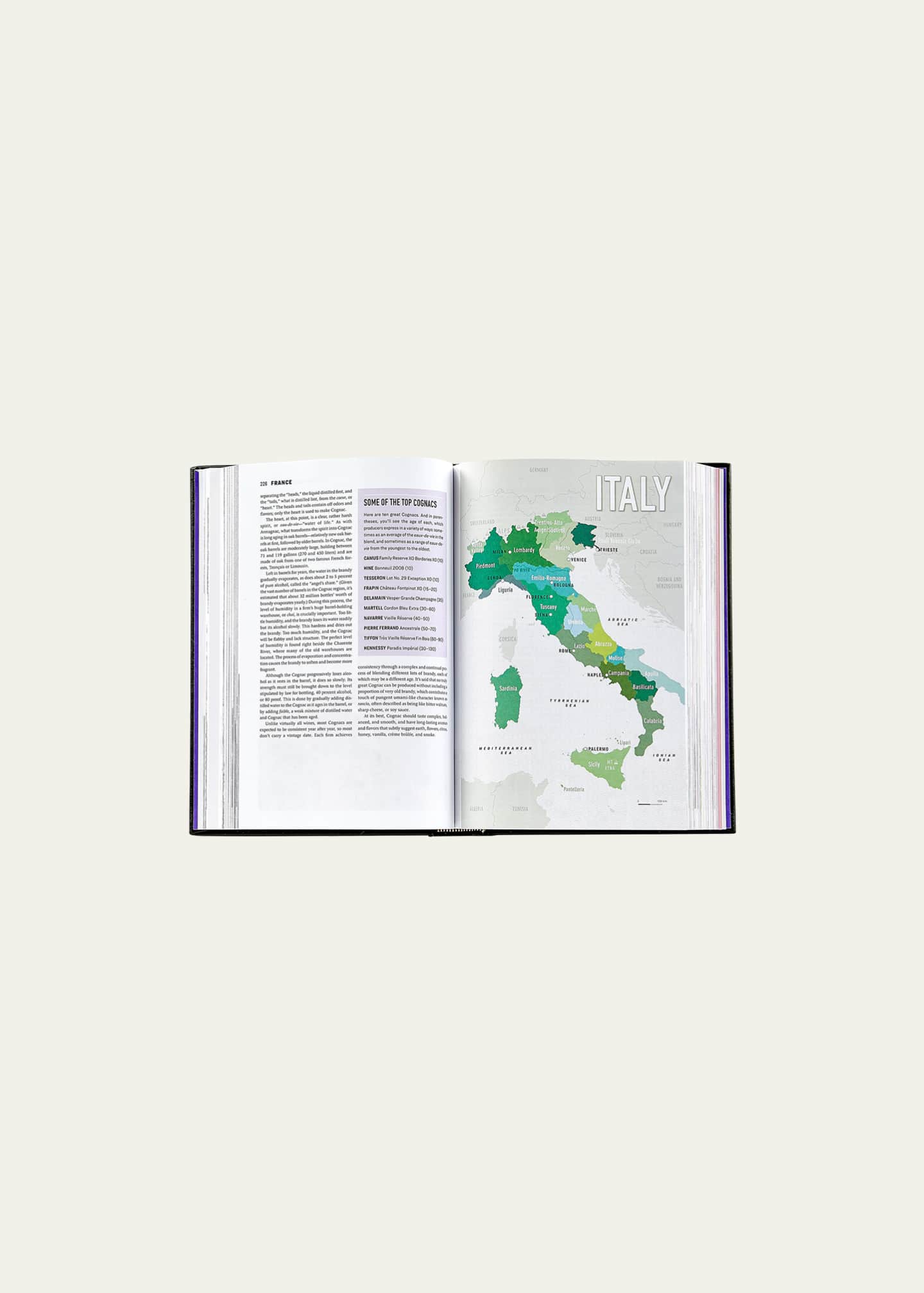 Graphic Image "The Wine Bible" Leather Bound Book Image 4 of 5