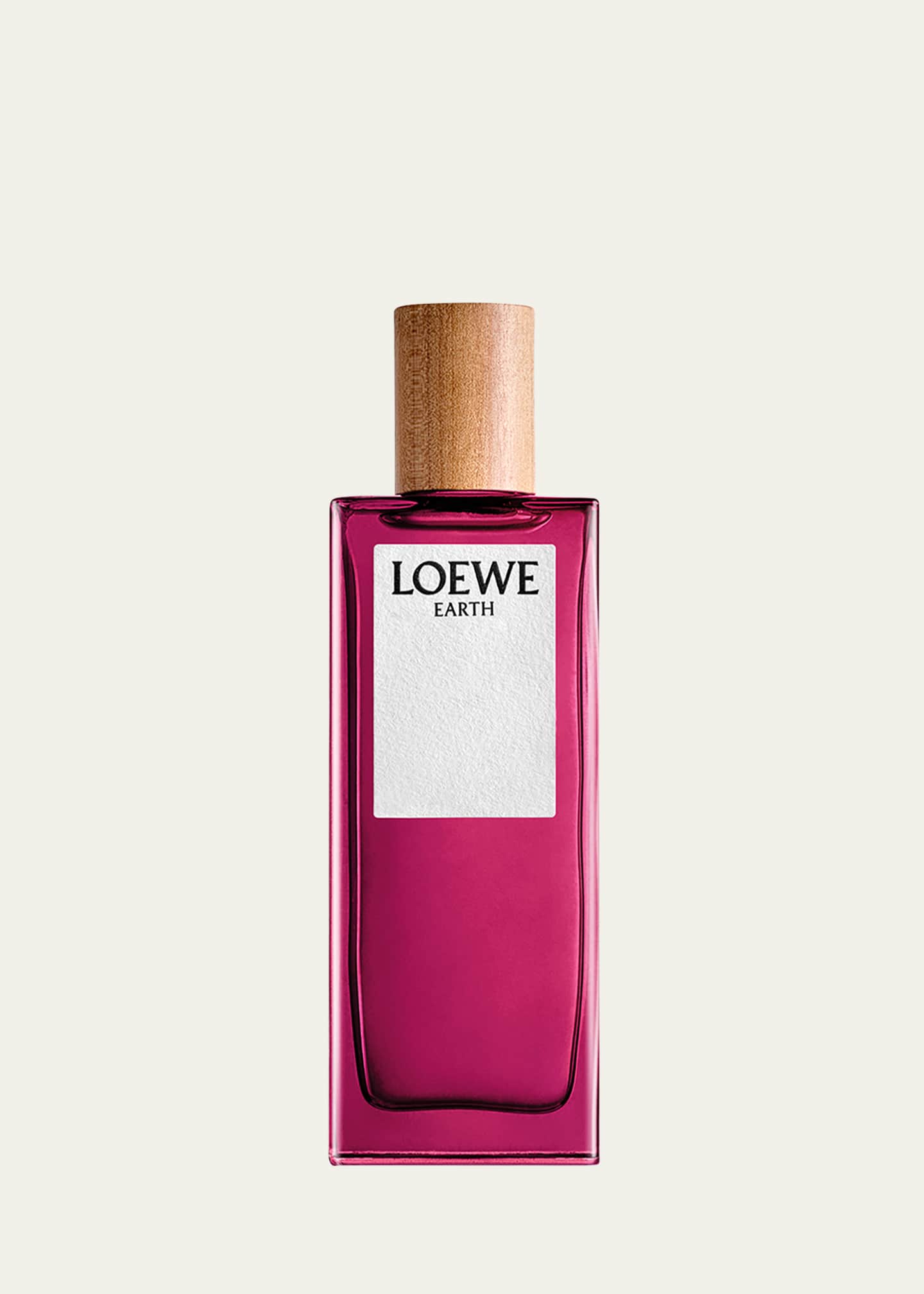 Loewe bergdorf goodman sales