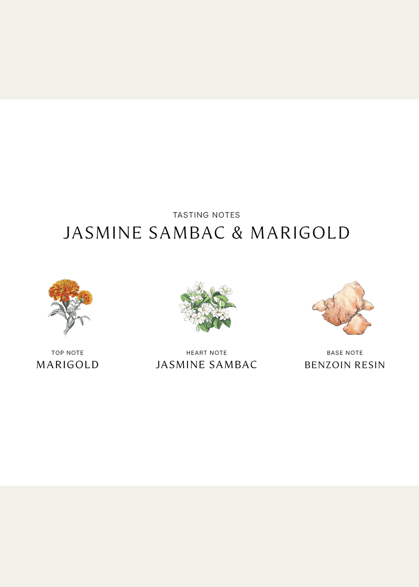 Jo malone jasmine marigold store