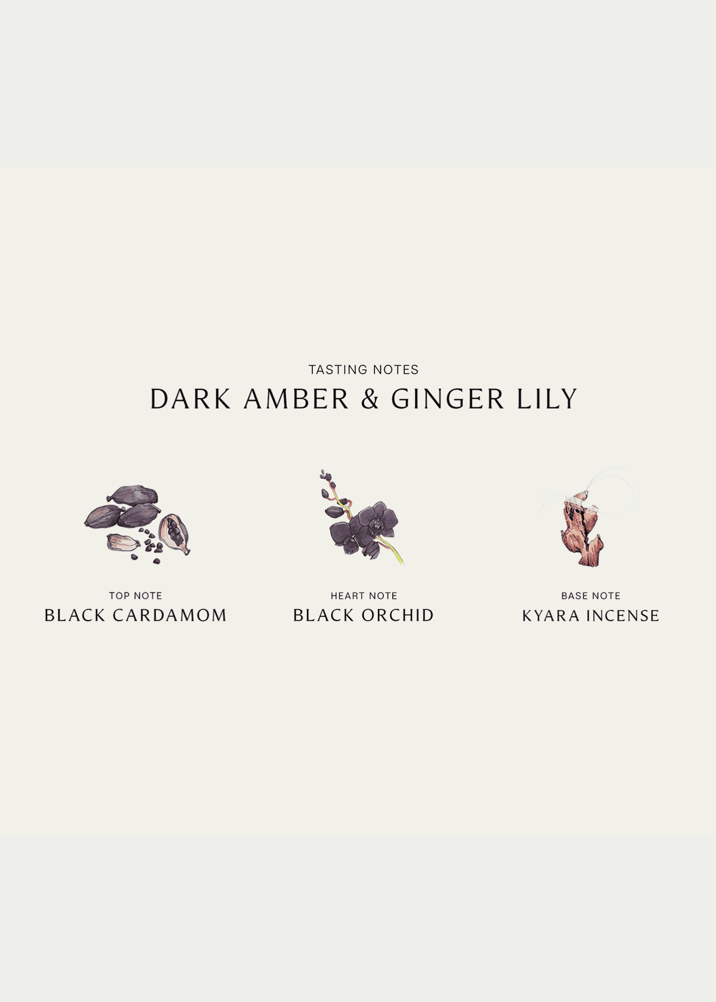 Jo malone london dark amber & ginger lily hot sale