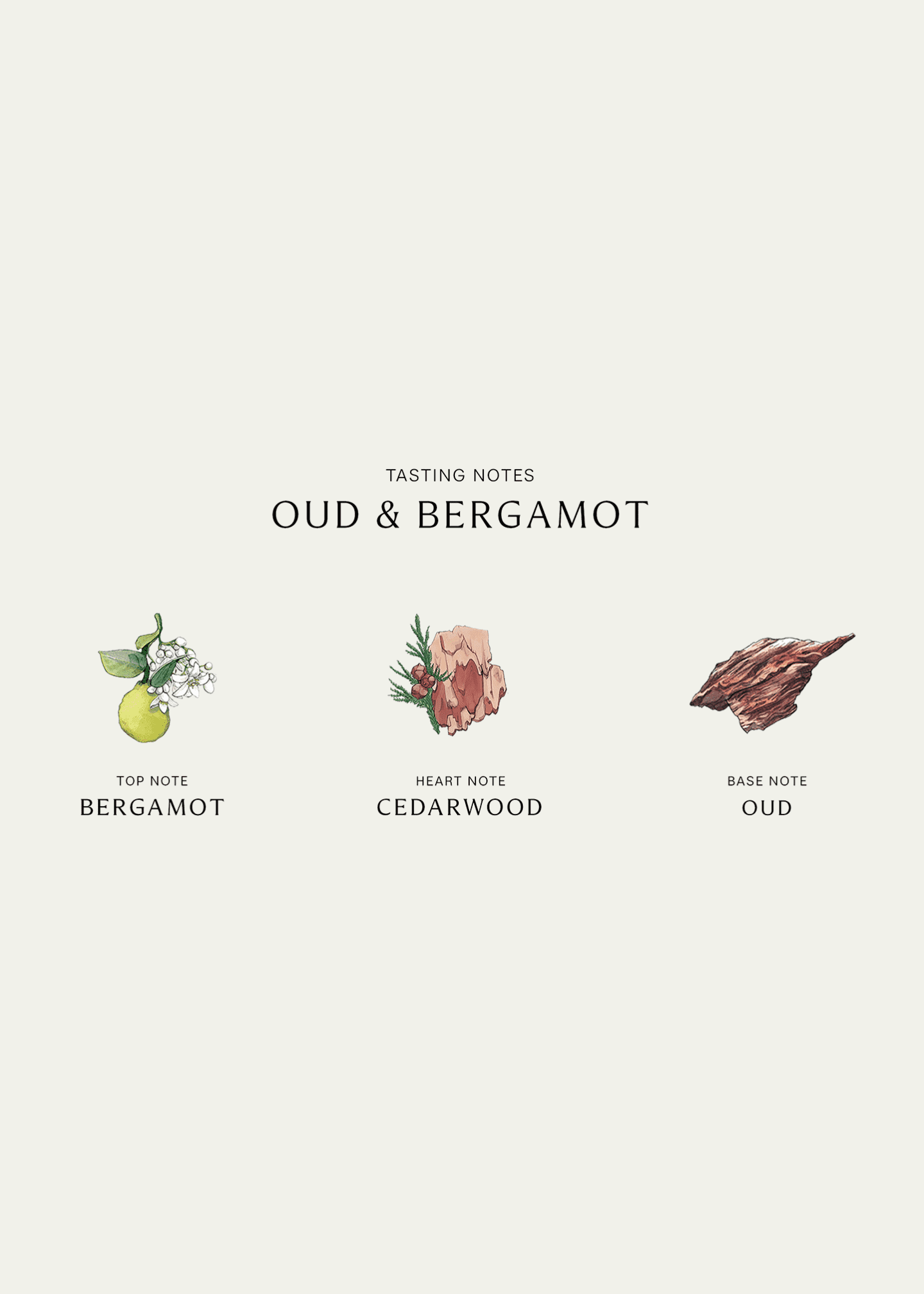 Jo malone oud & bergamot intense hot sale