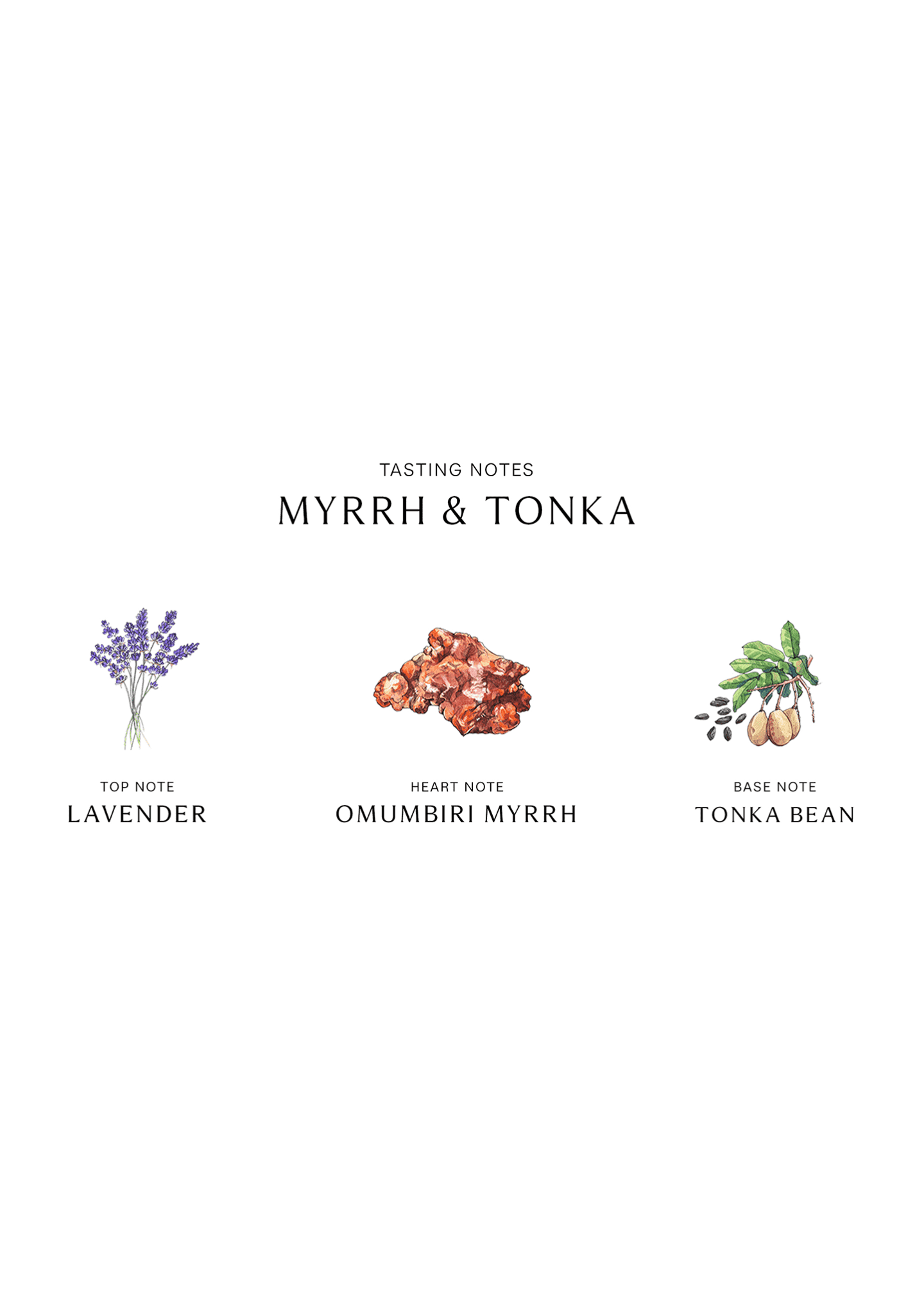 Myrrh and tonka best sale bean jo malone