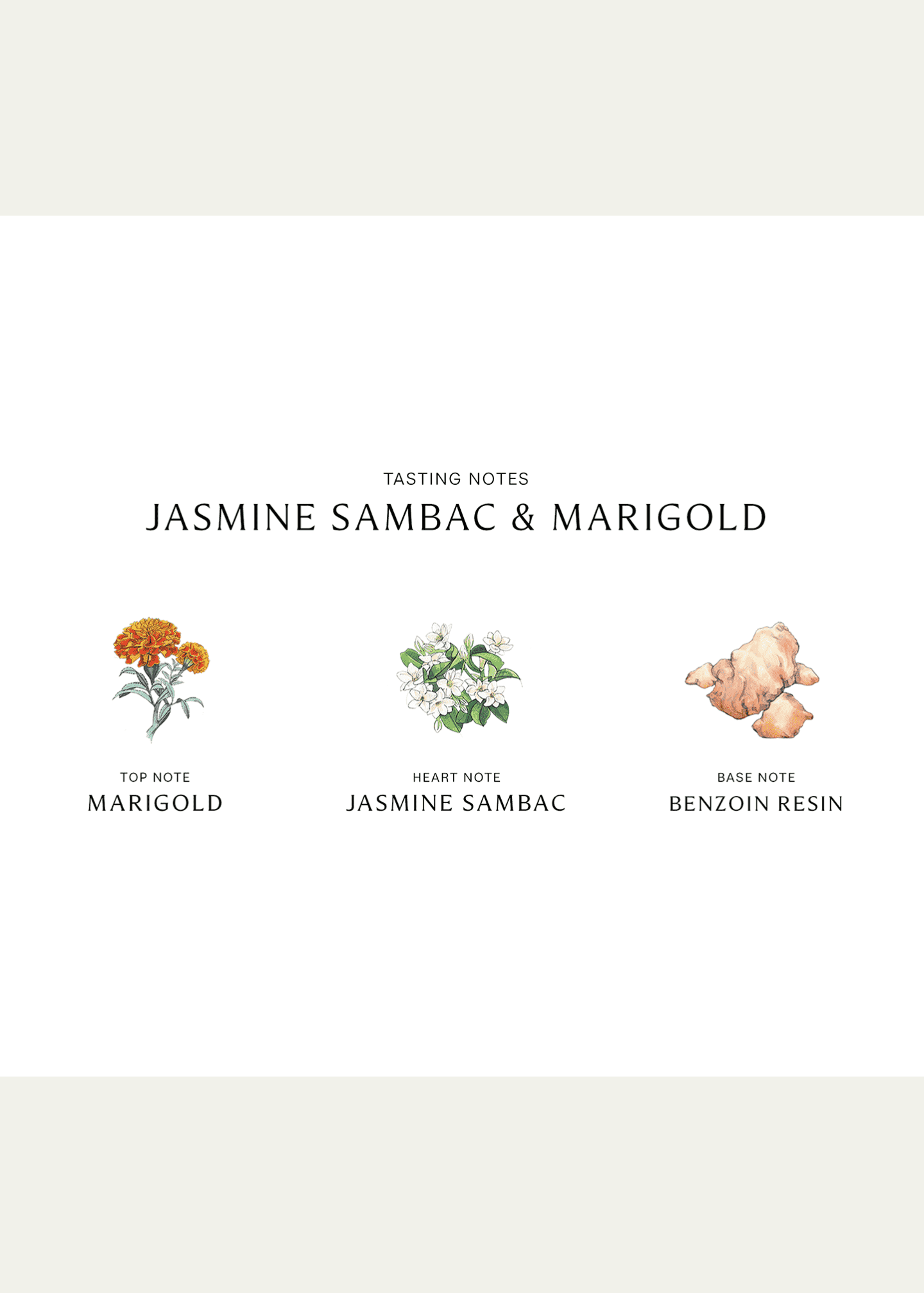 Jo Malone London Jasmine Sambac and Marigold Cologne Intense, 1.7 oz. Image 3 of 3