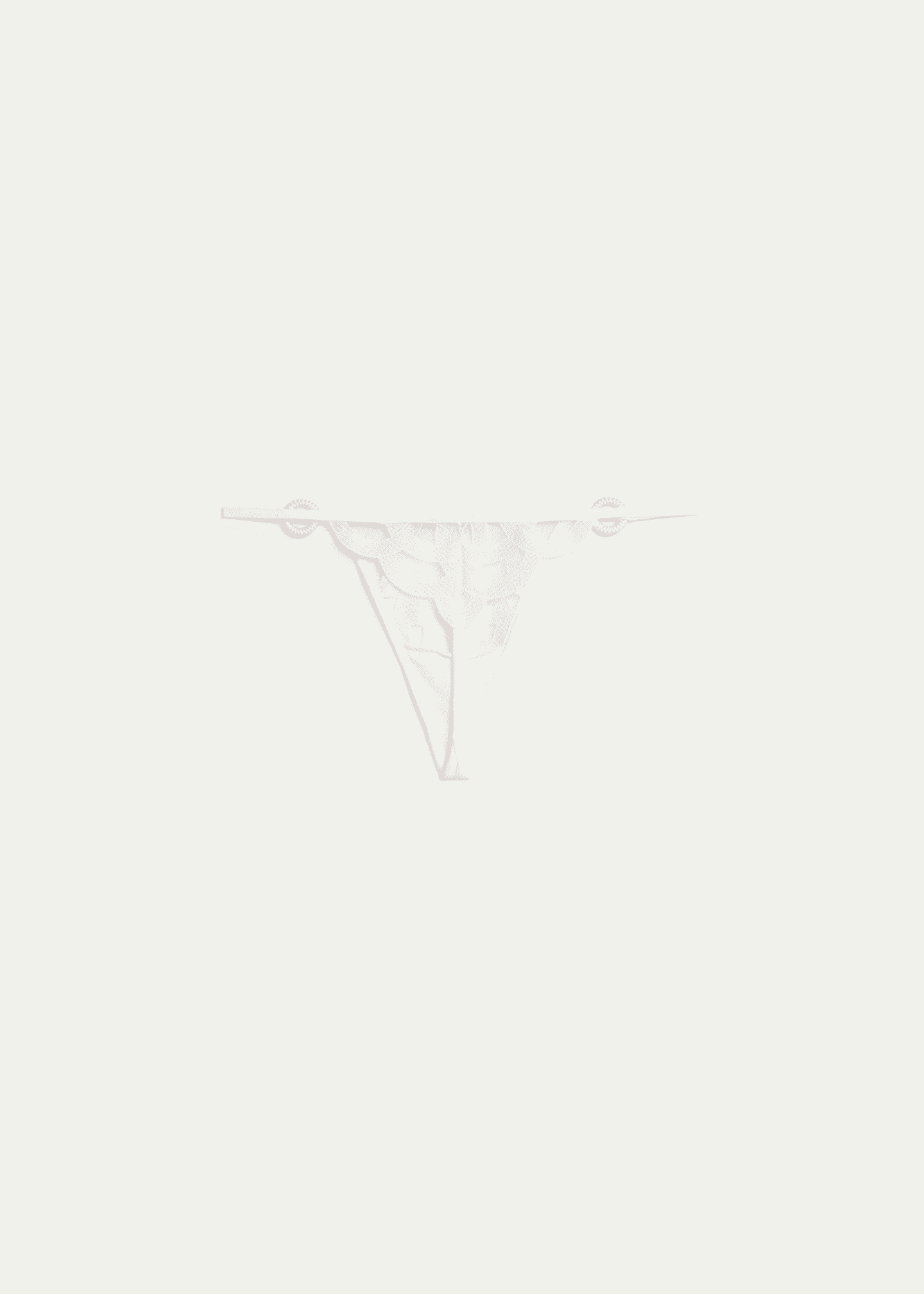 Livy Kimbaku High-Cut Embroidered Thong Image 2 of 2
