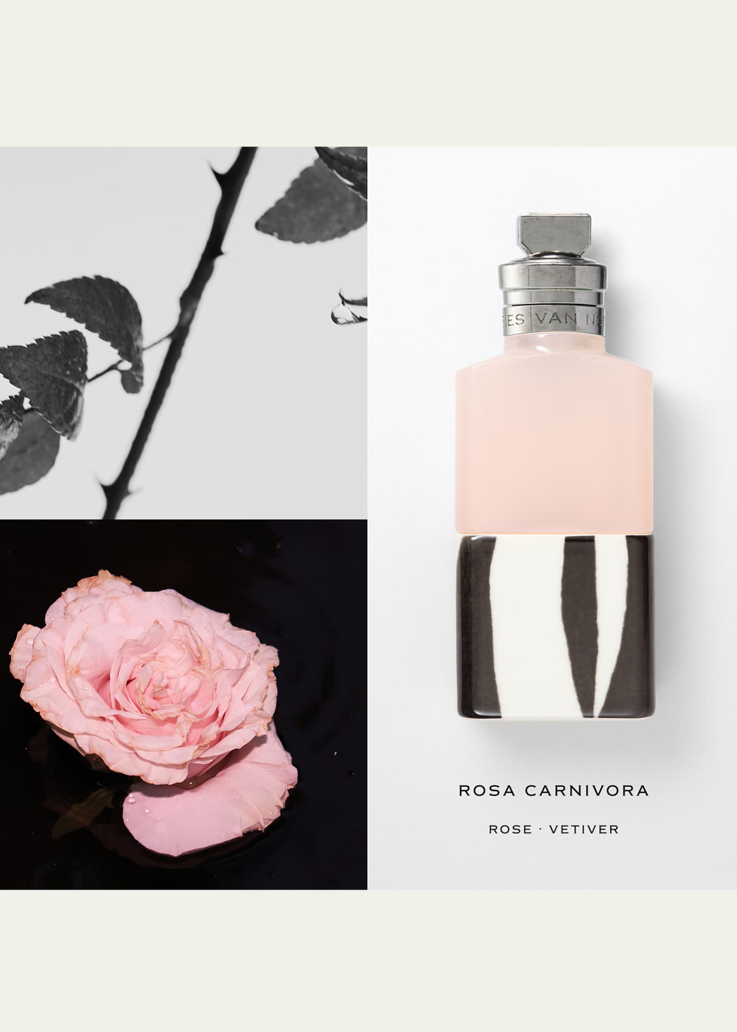 Dries Van Noten Rosa Carnivora Eau de Parfum, 3.4 oz. Image 2 of 3