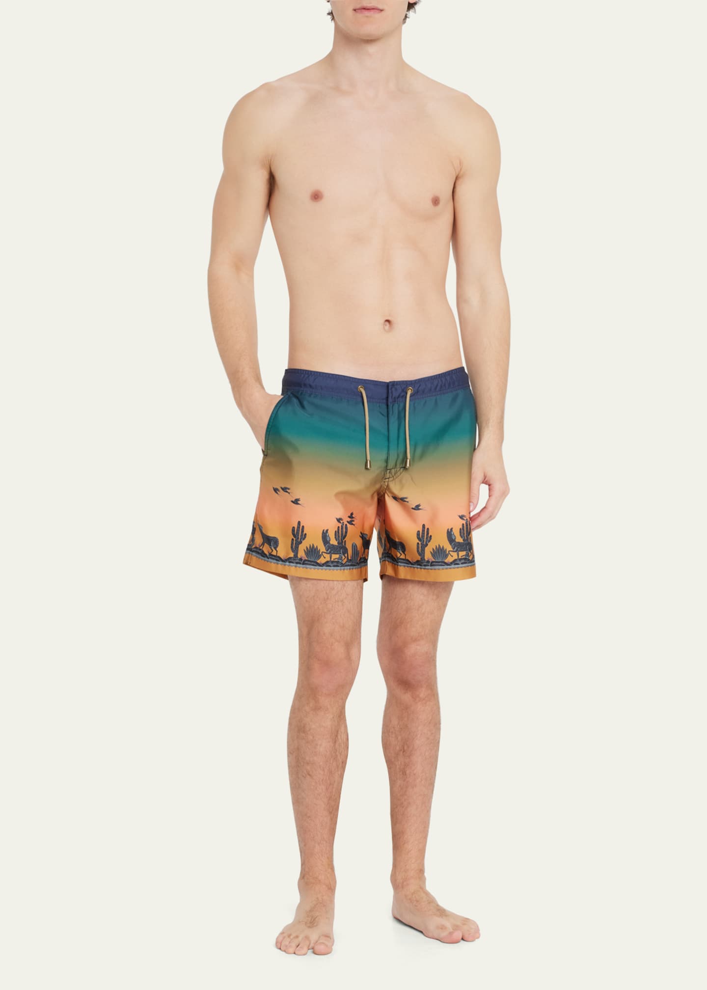 Men's Sunset Coyote Landscape Swim Shorts - Thumbnail 2