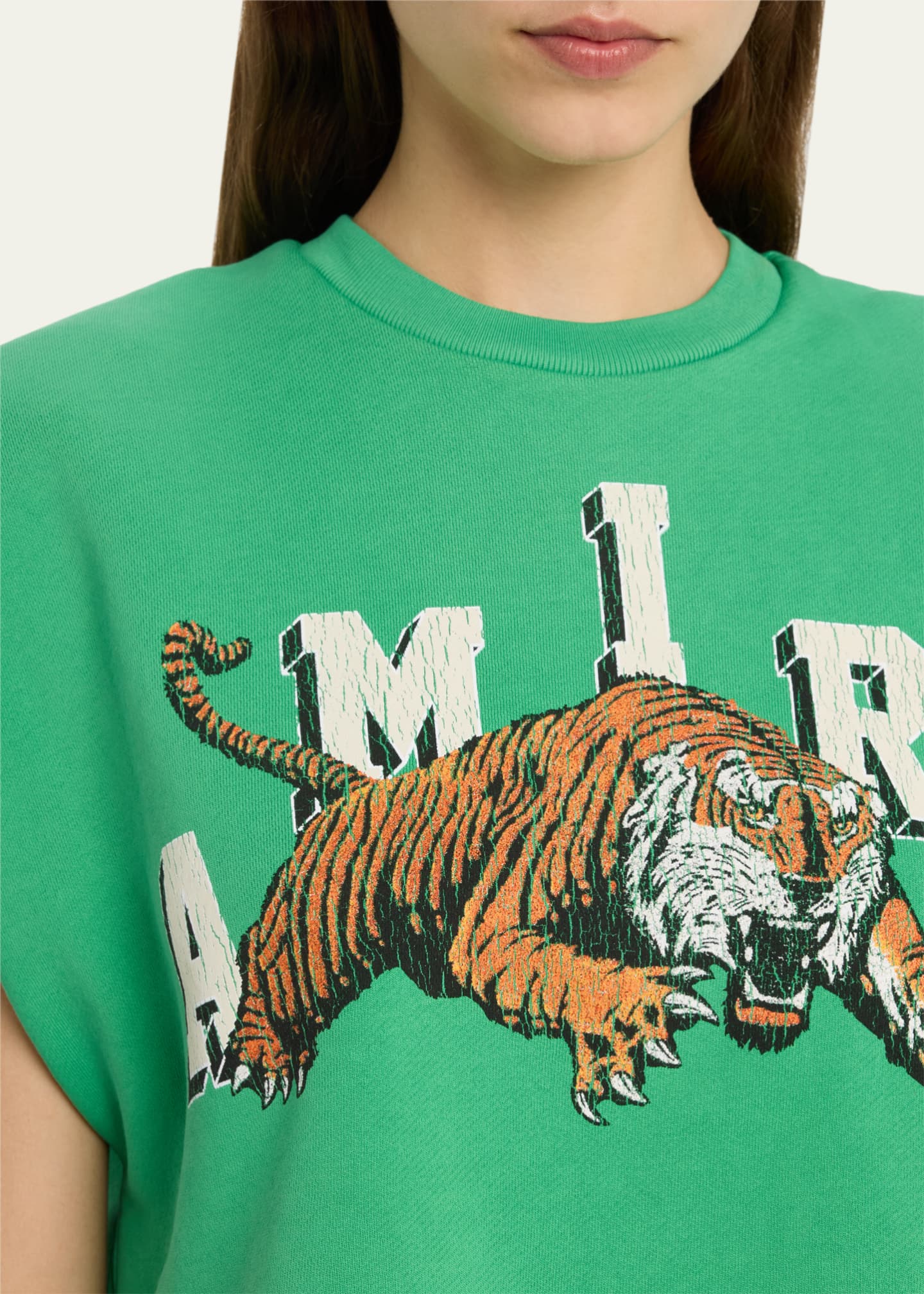 Amiri washed t-shirt tiger short sleeve main image 1