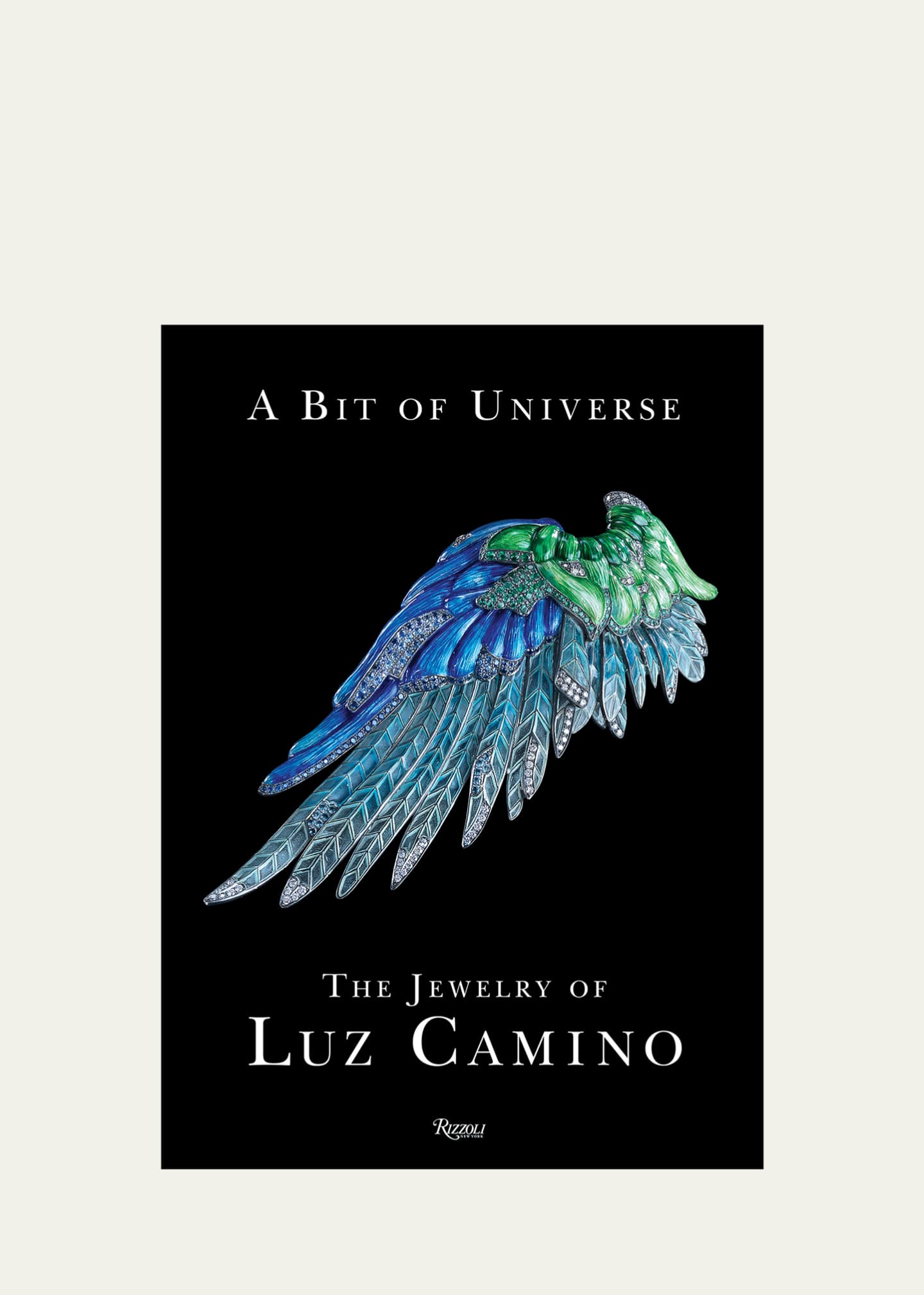 Rizzoli "Bit of Universe" Book