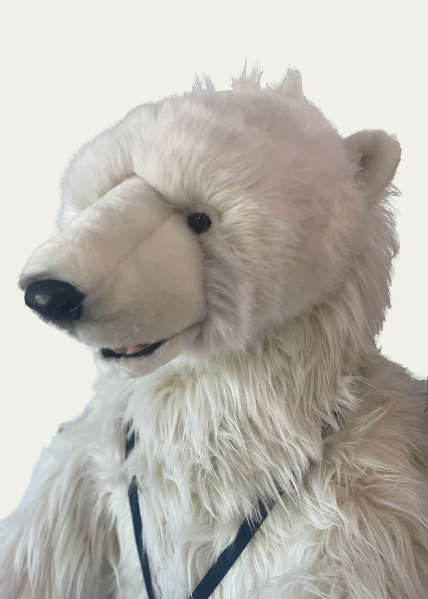 Hansa polar hotsell bear