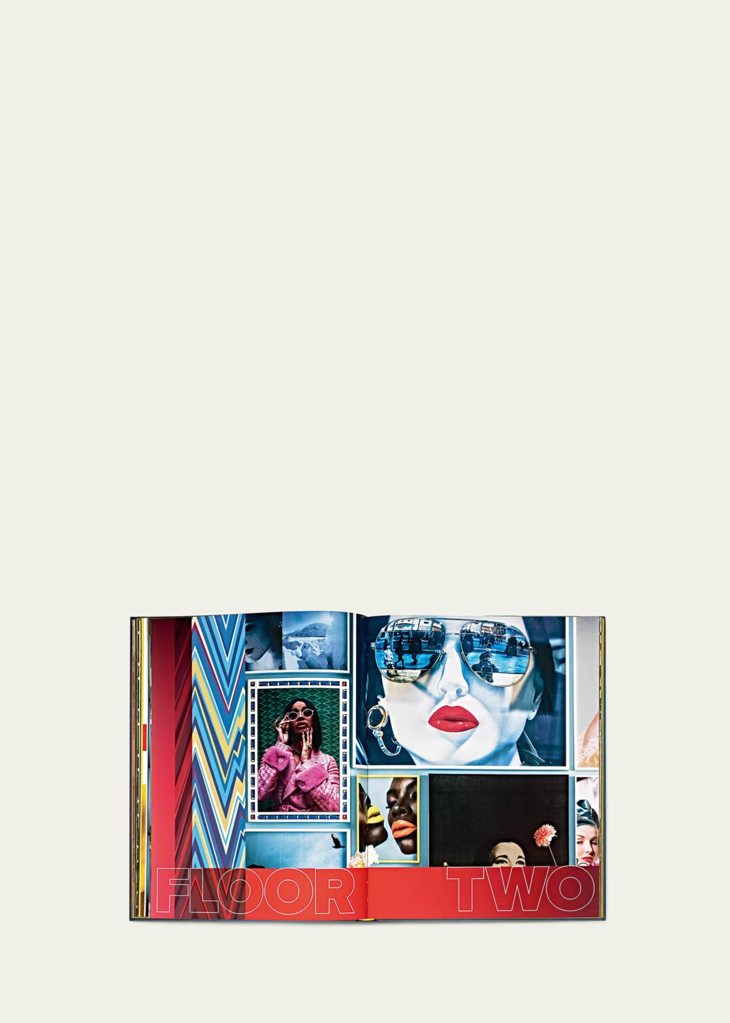 ABRAMS Books "Behind The Blue Door: A Maximalist Mantra" Book by John Demsey with Text by Alina Cho Image 3 of 5