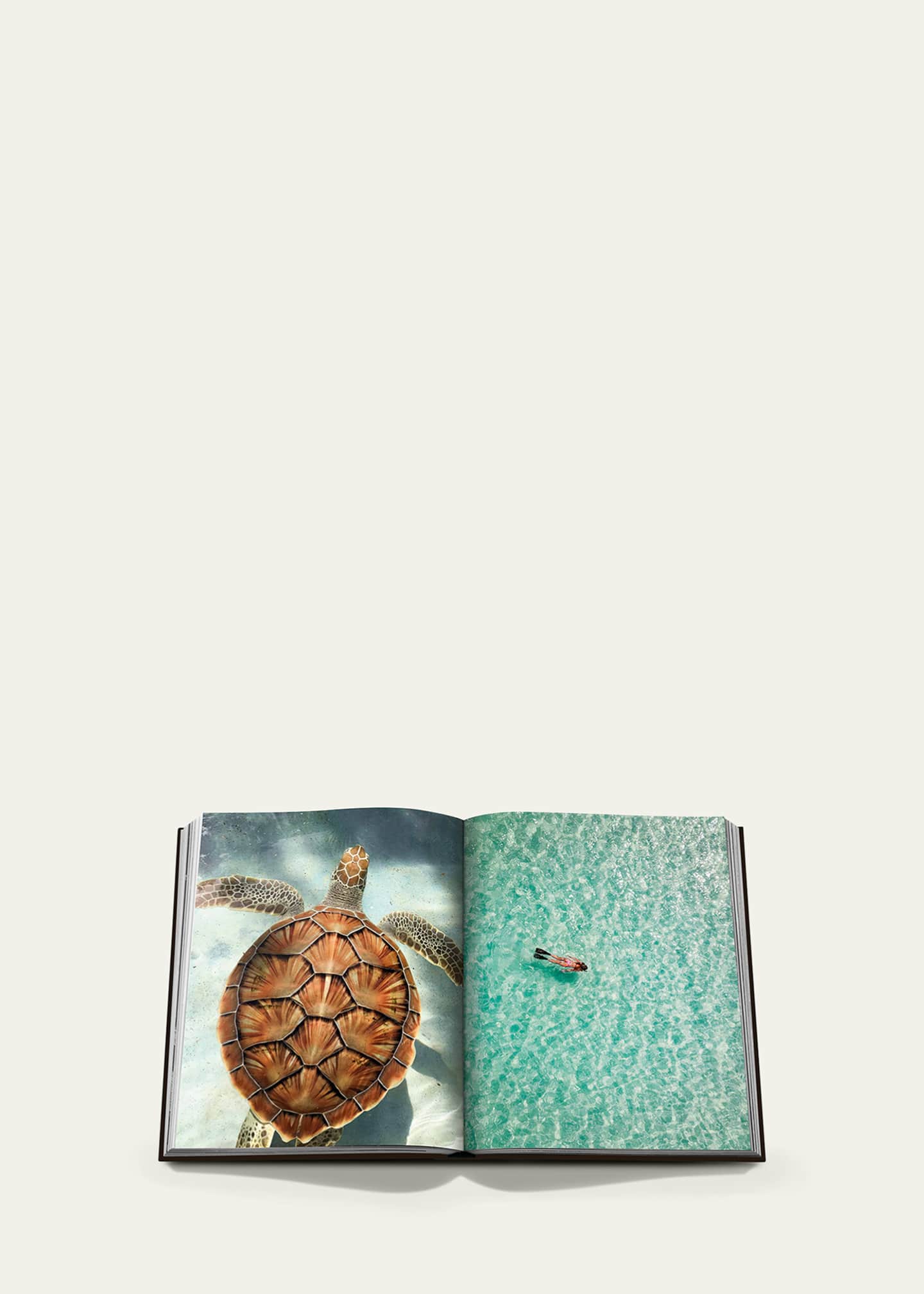 Assouline "Jamaica Vibes" Book by Lisa Lovatt-Smith Image 3 of 5