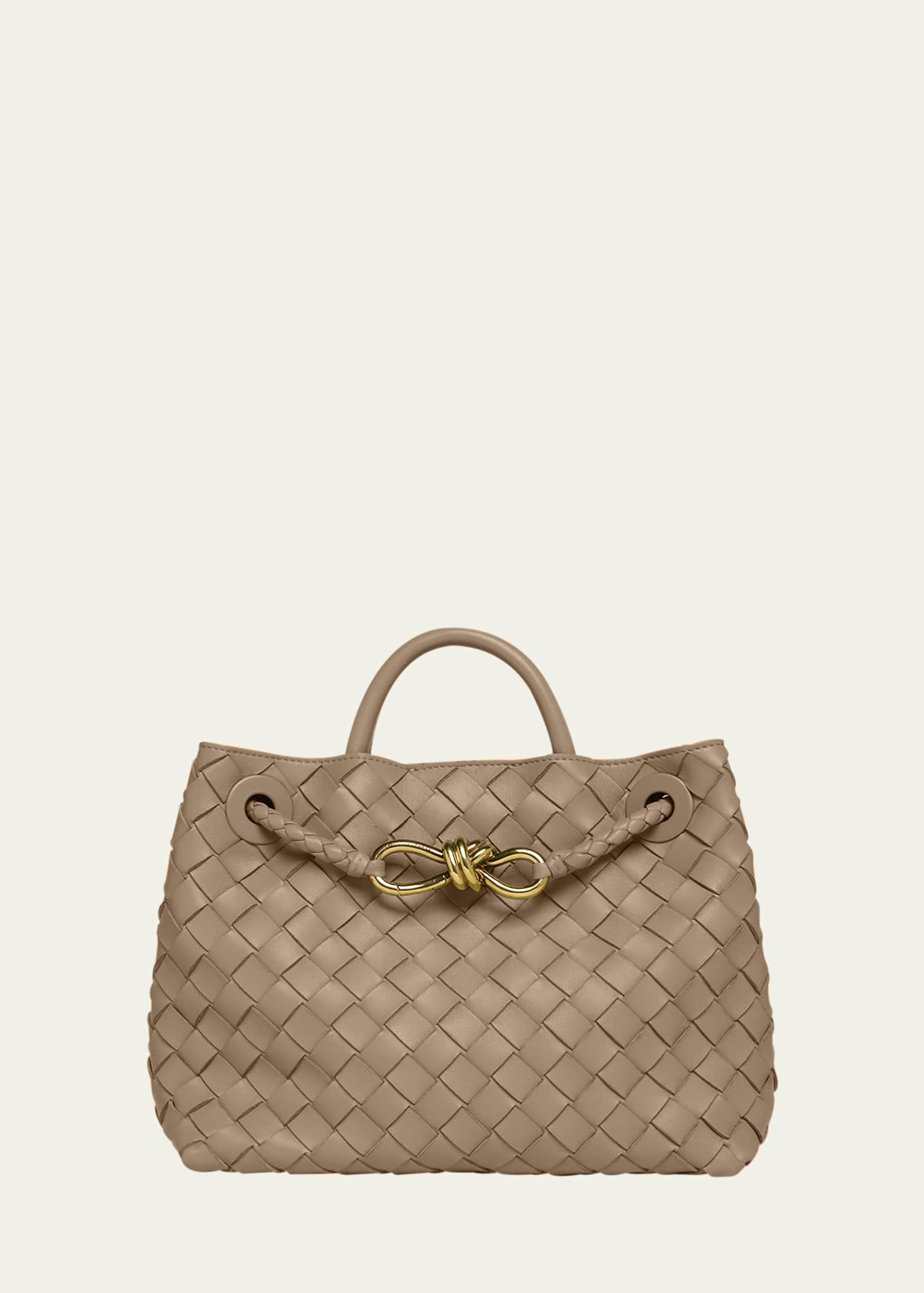 Bottega Veneta Small Andiamo Bag Image 1 of 6