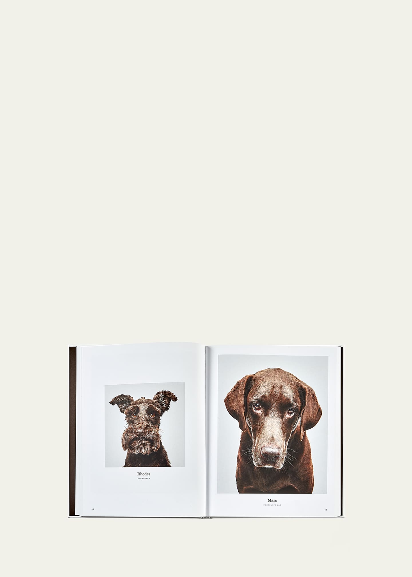Graphic Image "Good Dogs" Book Image 2 of 3