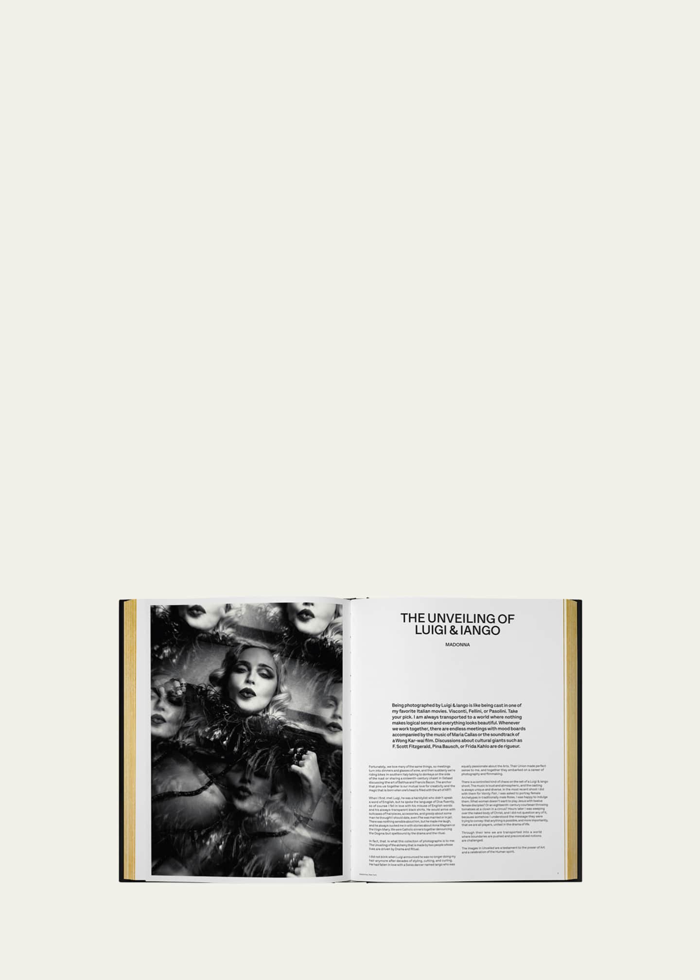 Phaidon Press "Luigi & Iango: Unveiled" Book by Luigi Murenu and Iango ...