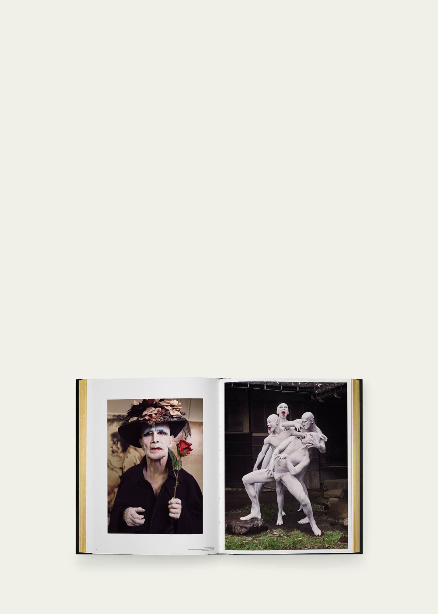 Phaidon Press "Luigi & Iango: Unveiled" Book by Luigi Murenu and Iango ...