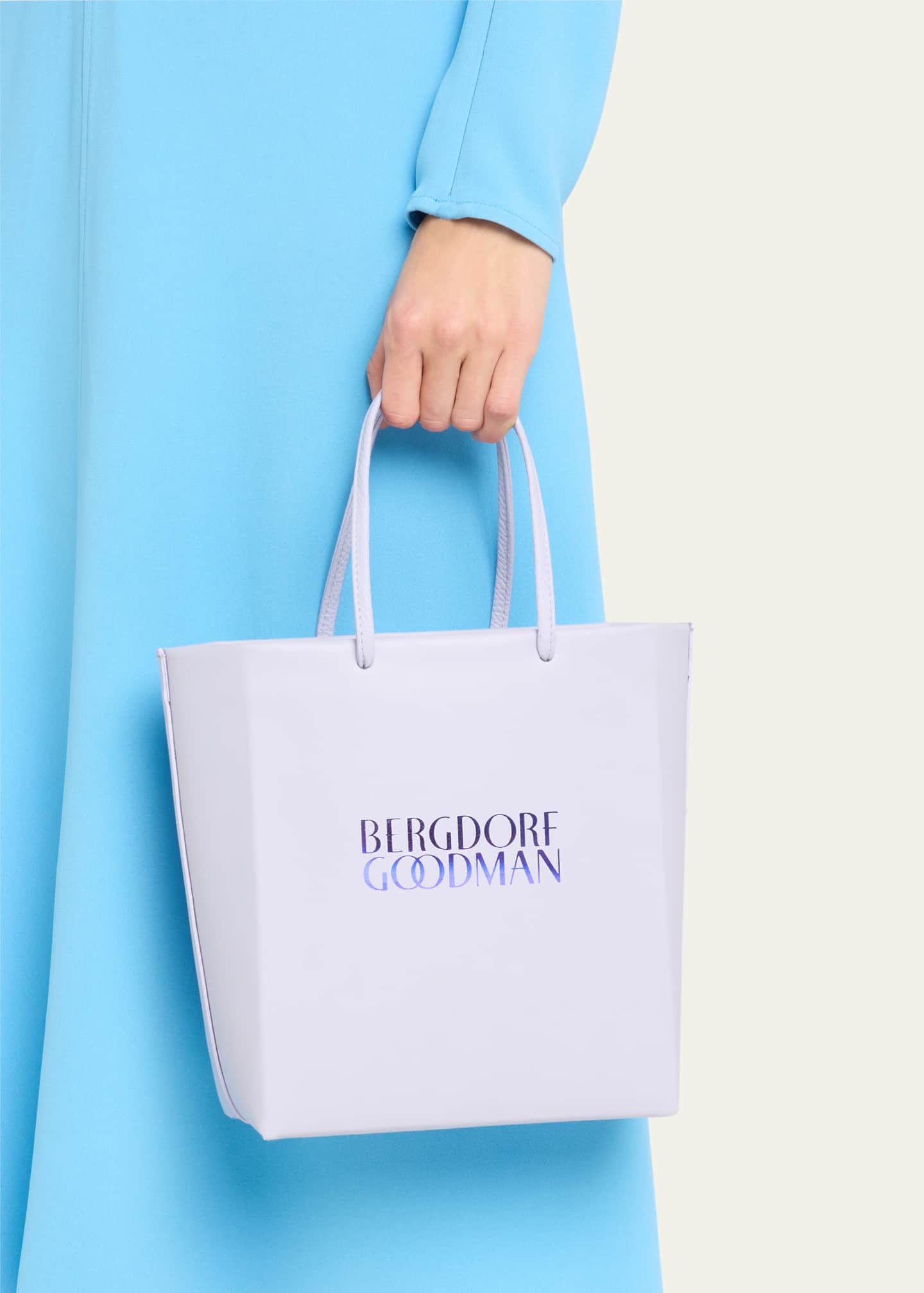 Bergdorf bag hotsell