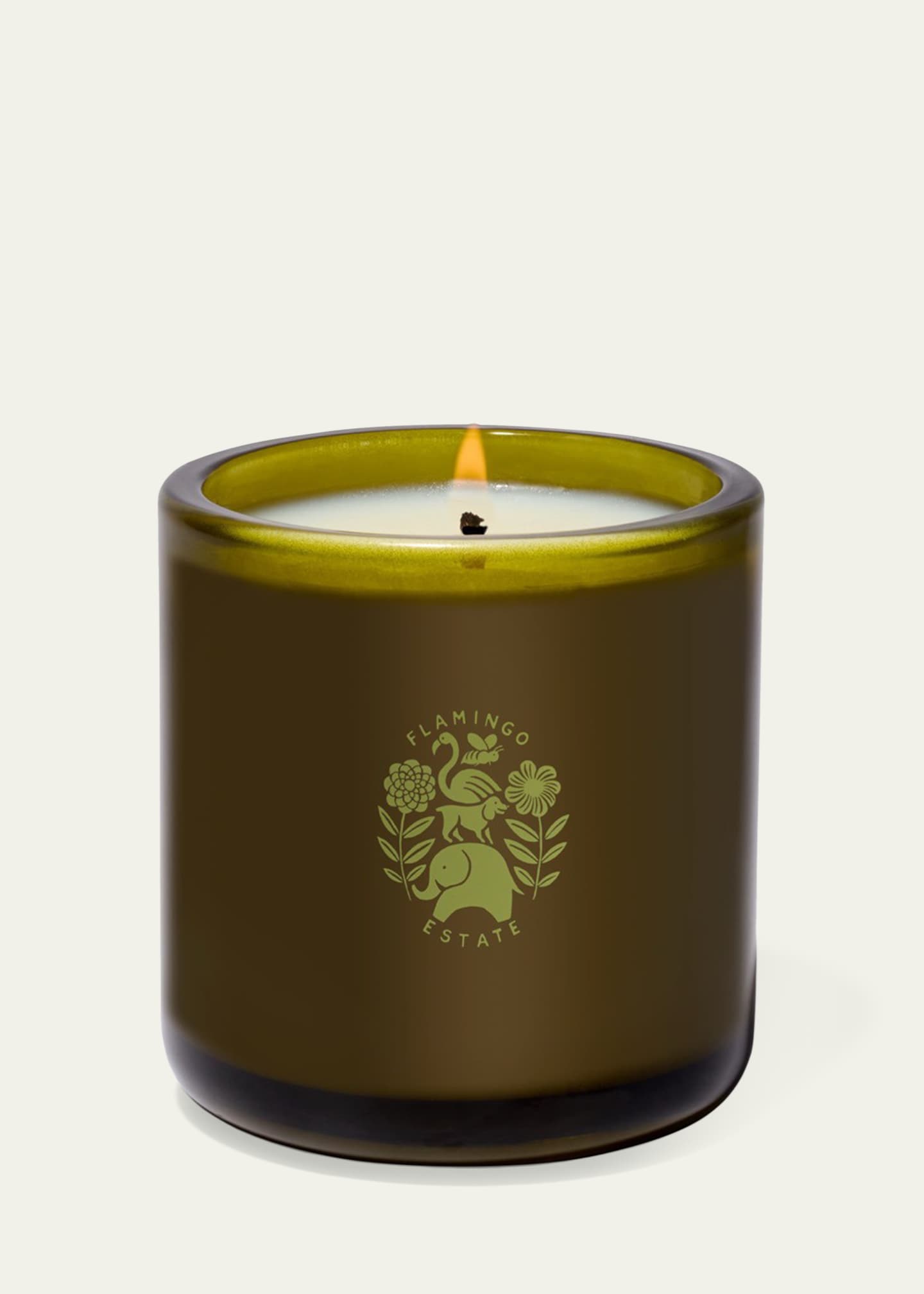 Flamingo Estate Ancient Agrigento Olive Tree Candle, 8 oz. Image 2 of 2