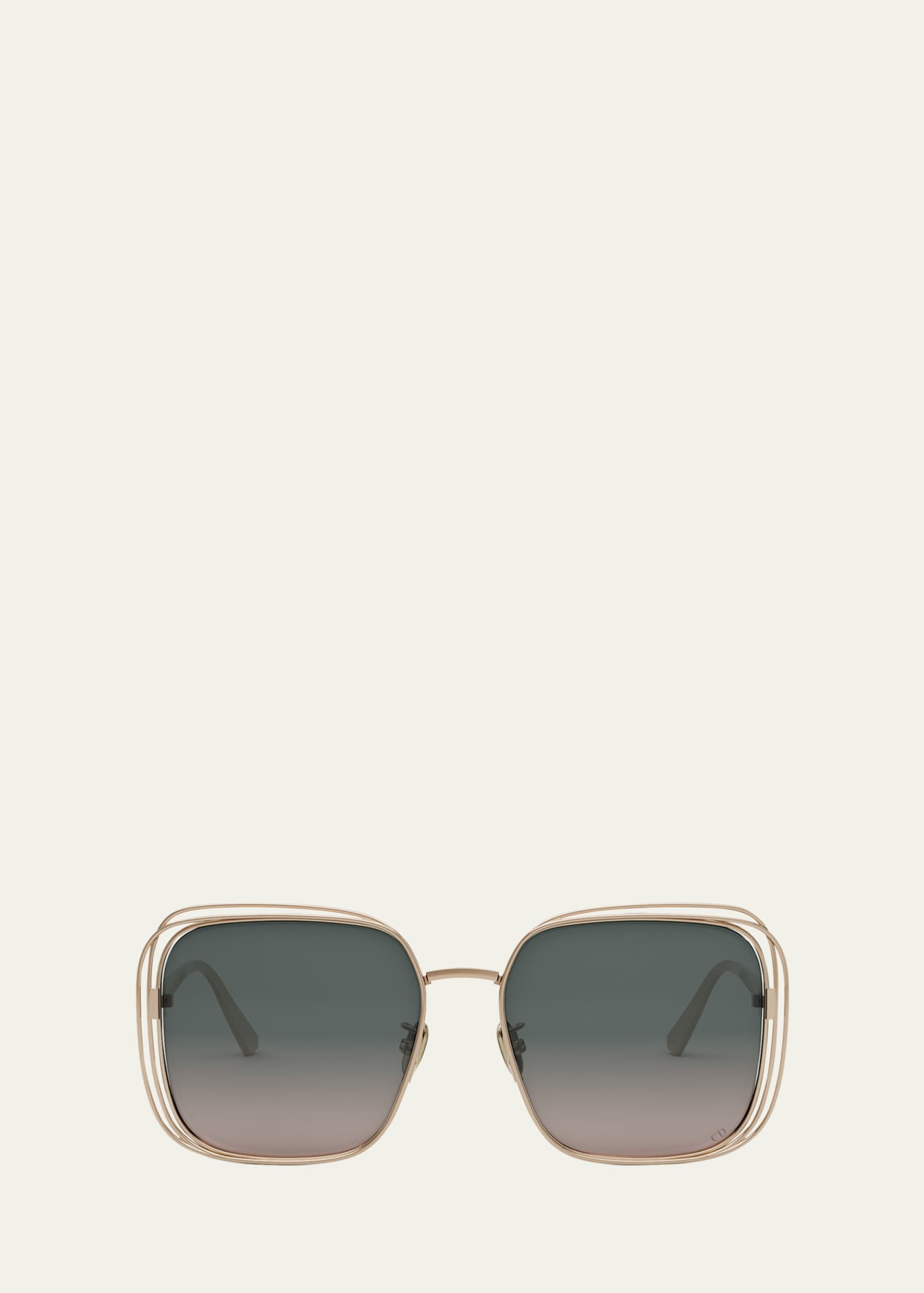 DIOR FilDior S1U Sunglasses Image 1 of 3