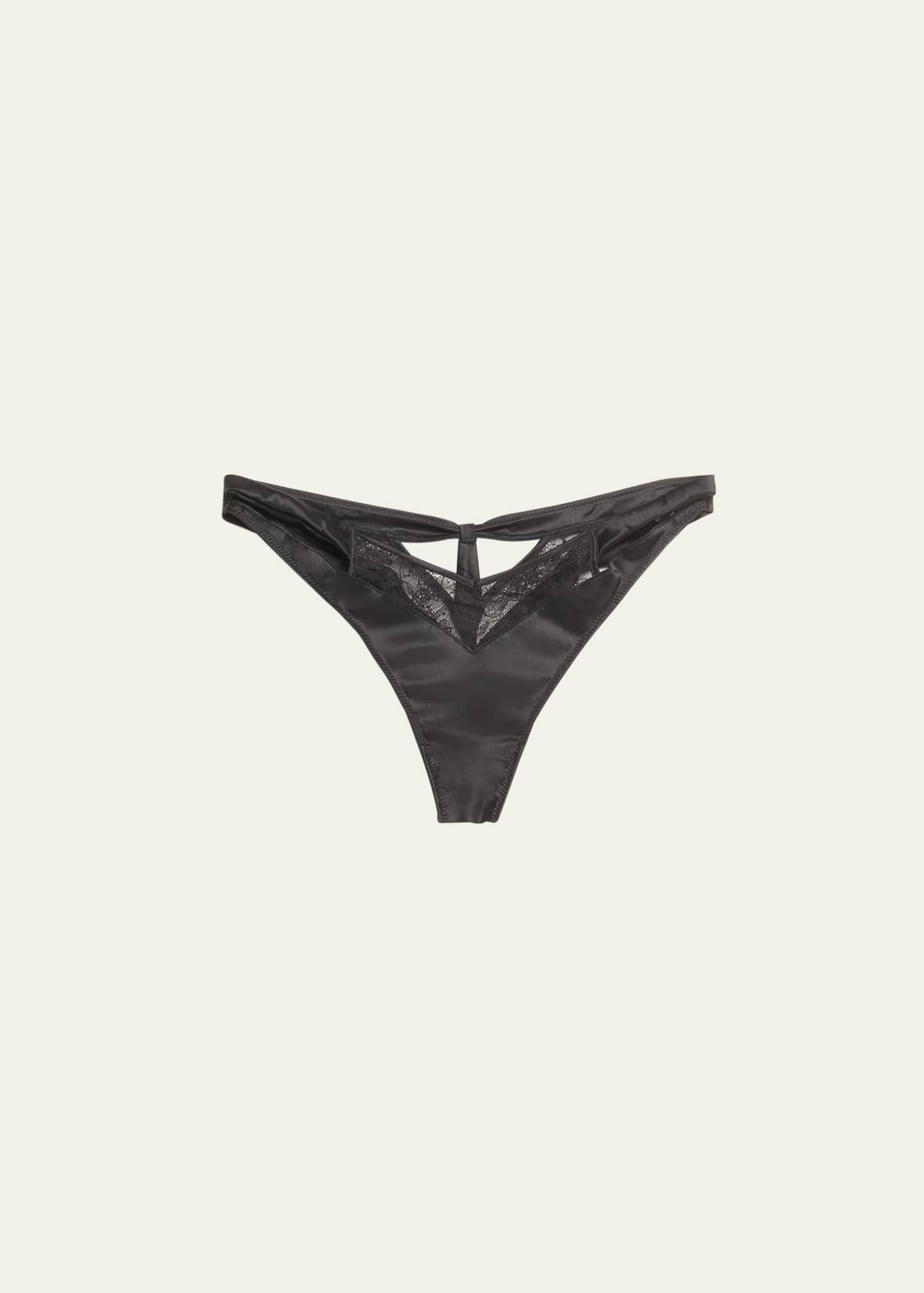 Livy Grenelle Cutout Lace & Satin Tanga Image 1 of 3