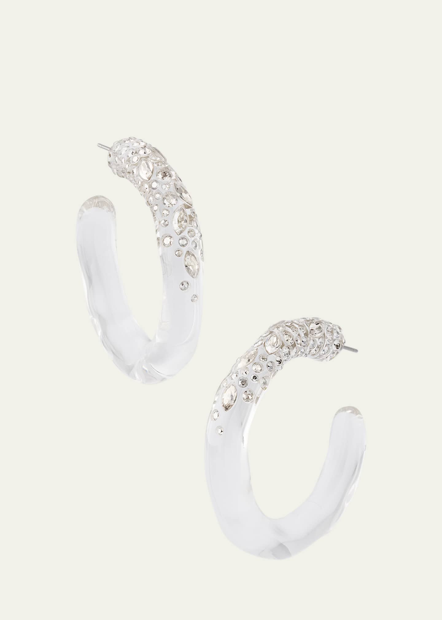 Alexis Bittar Confetti Crystal Lucite Hoop Earrings Image 3 of 4