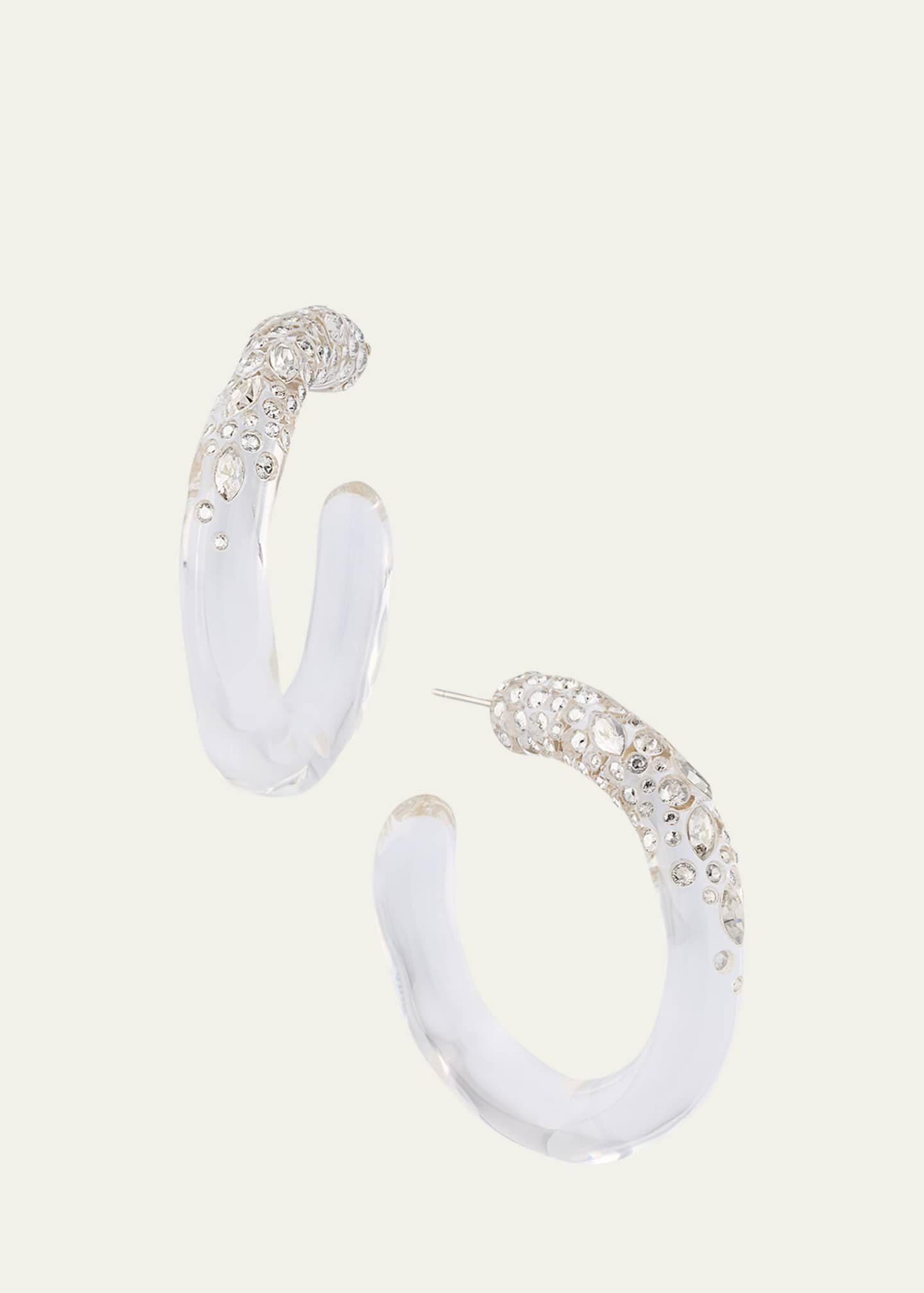 Alexis Bittar Confetti Crystal Lucite Hoop Earrings Image 1 of 4