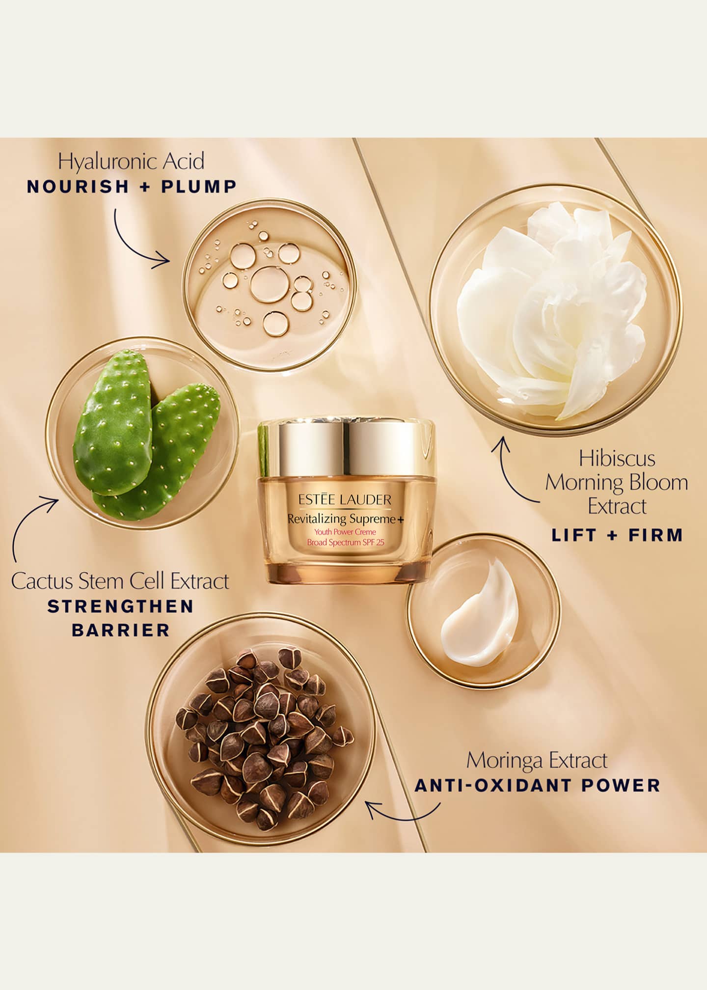 Estee Lauder Revitalizing Supreme+ Cream Moisturizer with Hyaluronic Acid & Peptides SPF 25 Image 3 of 5