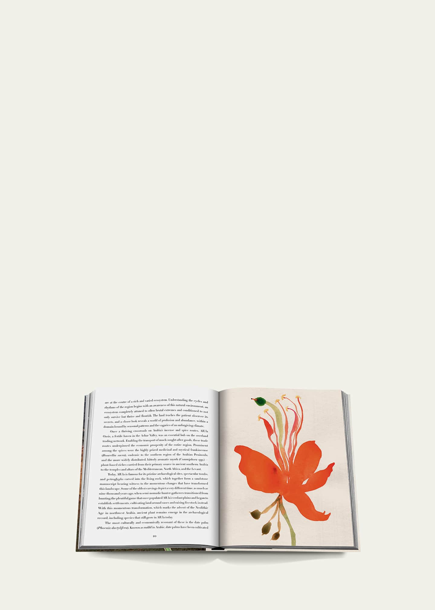 Assouline "AlUla Flora: A Botanical Treasure" Book by Abdulaziz Assaeed Image 3 of 6