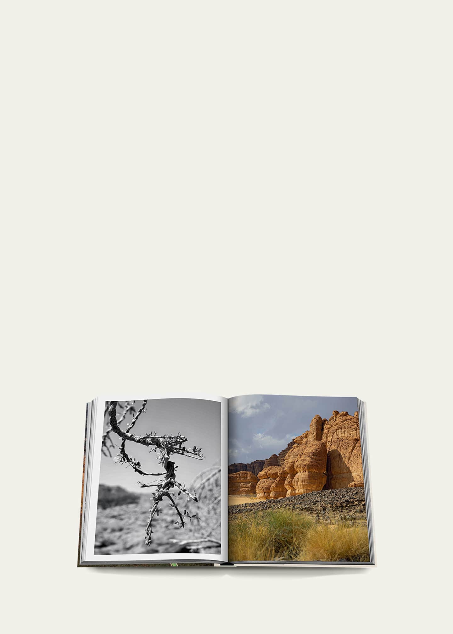 Assouline "AlUla Flora: A Botanical Treasure" Book by Abdulaziz Assaeed Image 4 of 6