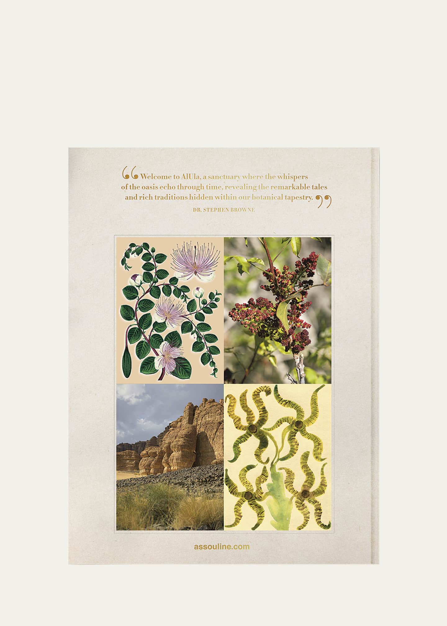 Assouline "AlUla Flora: A Botanical Treasure" Book by Abdulaziz Assaeed Image 5 of 6